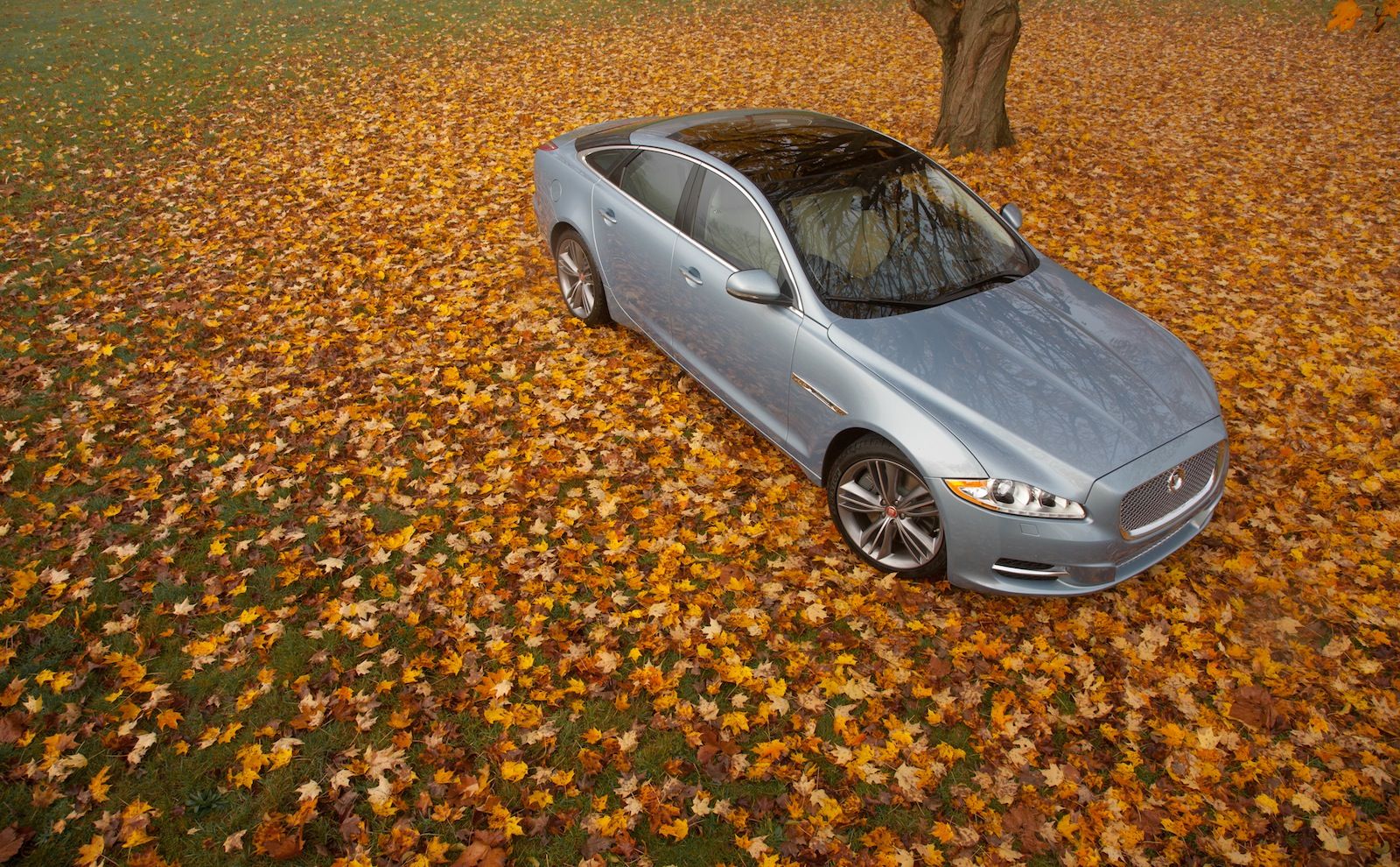 2010 - 2012 Jaguar XJ