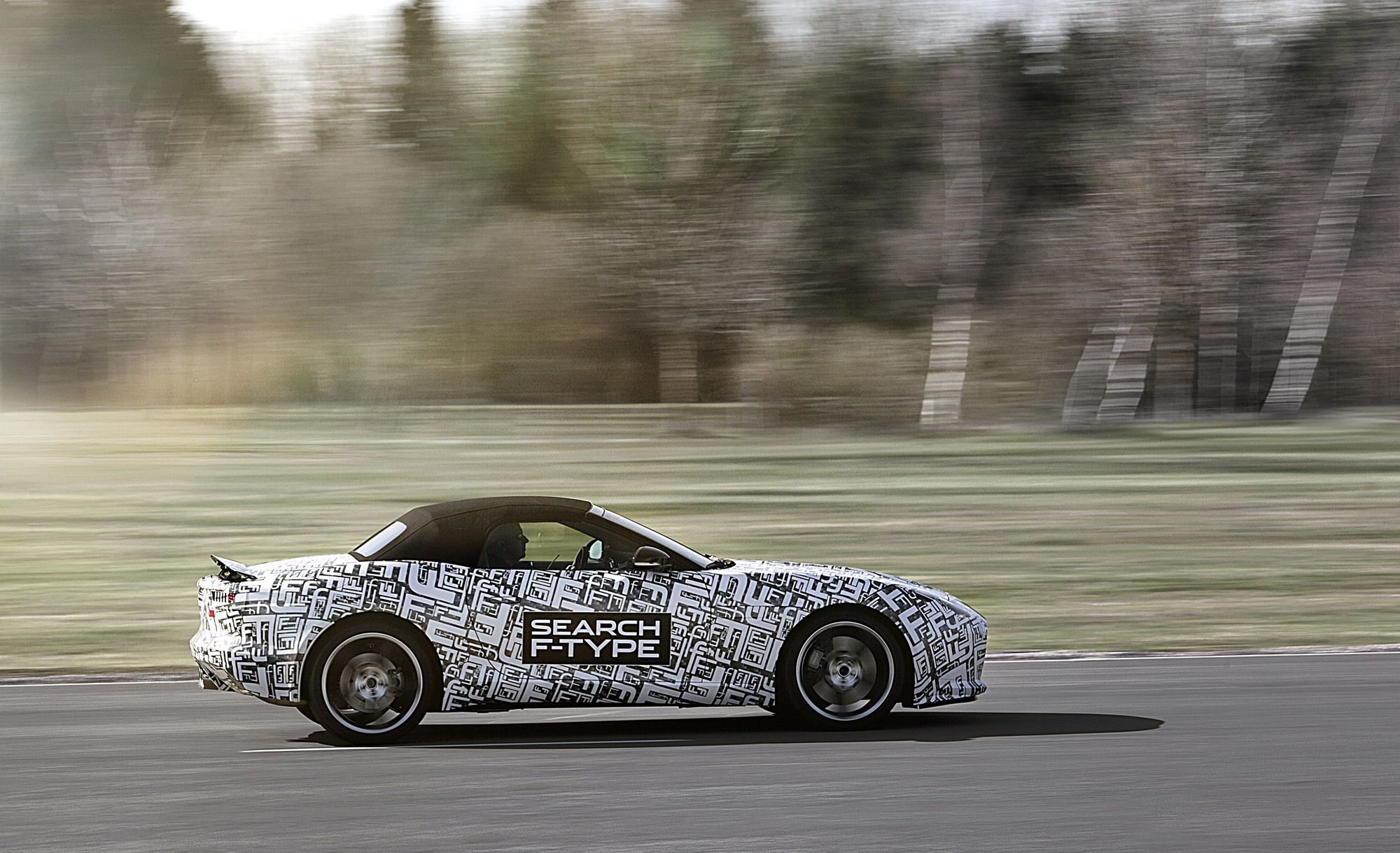 2013 Jaguar F-Type Roadster