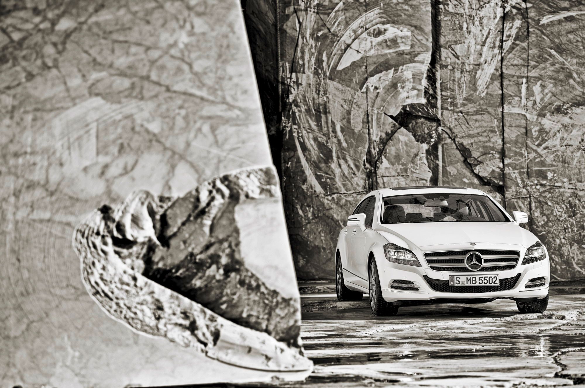 2013 - 2014 Mercedes-Benz CLS Shooting Brake