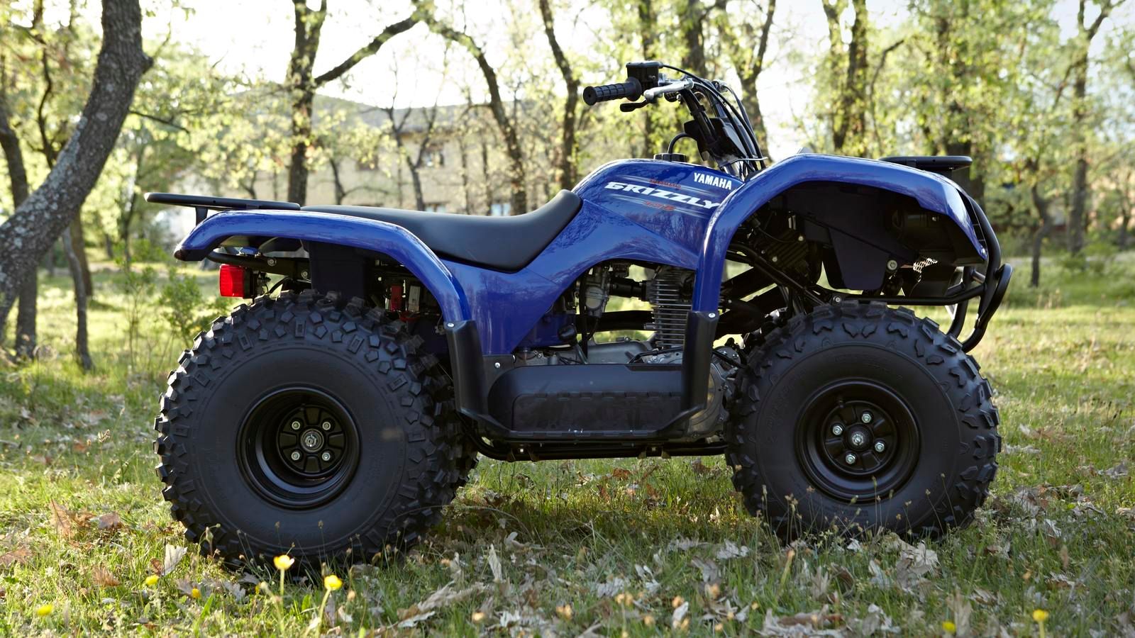 Утилитарный квадроцикл. Yamaha Grizzly 125. Grizzly atv 125 квадроцикл. Квадроцикл Ямаха Гризли 125сс. Гризли квадроцикл 4х4 Ямаха.