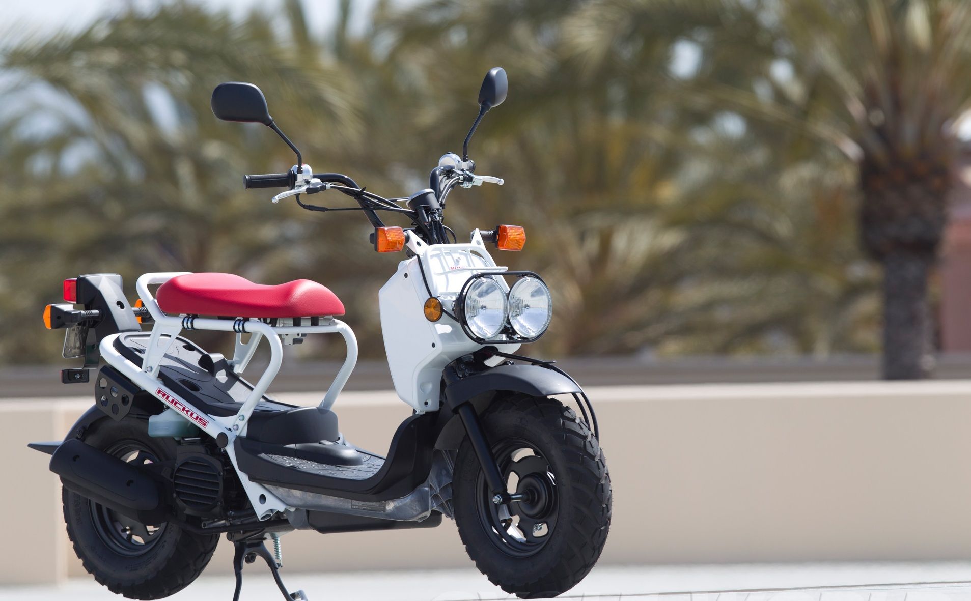 2012 Honda Ruckus