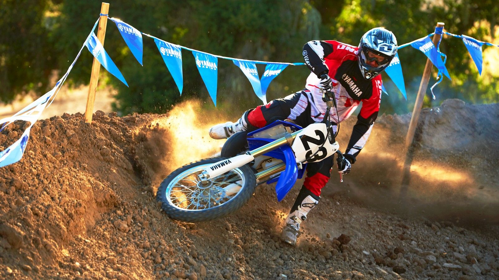 2013 Yamaha YZ250