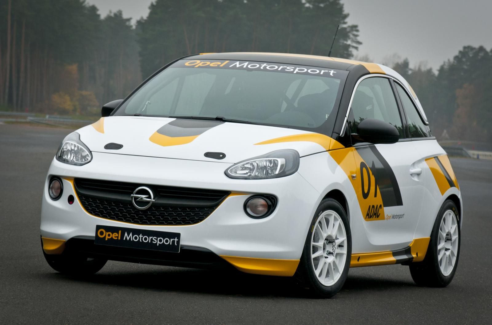 2013 Opel Adam Cup Rally Car