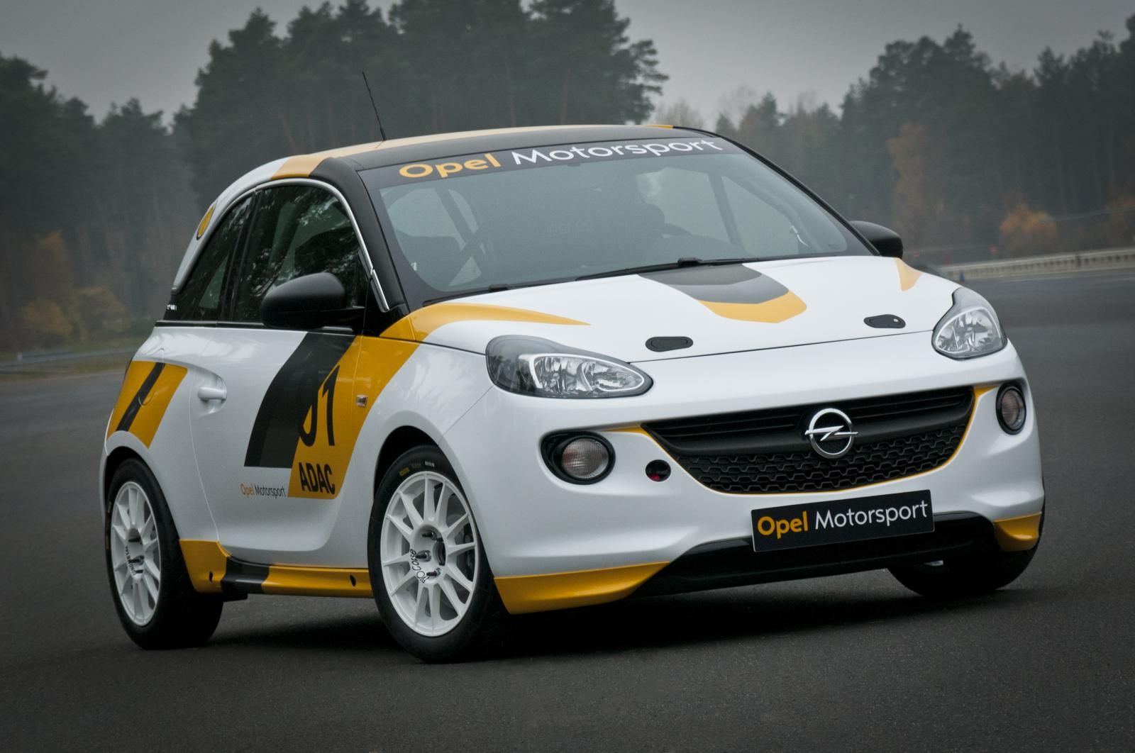 2013 Opel Adam Cup Rally Car