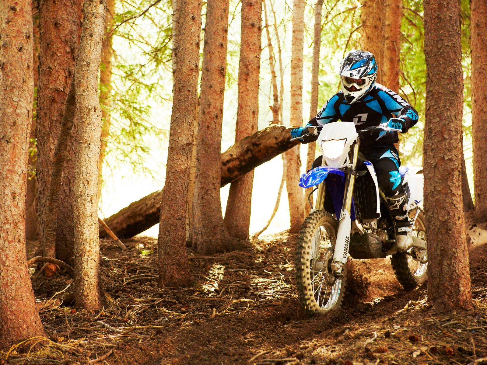 2013 Yamaha WR450F