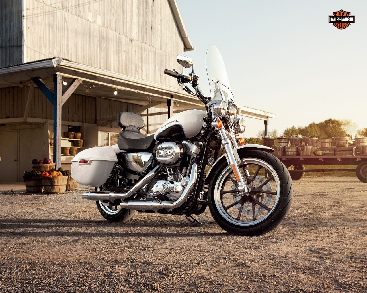 2013 Harley-Davidson Sportster SuperLow XL883L