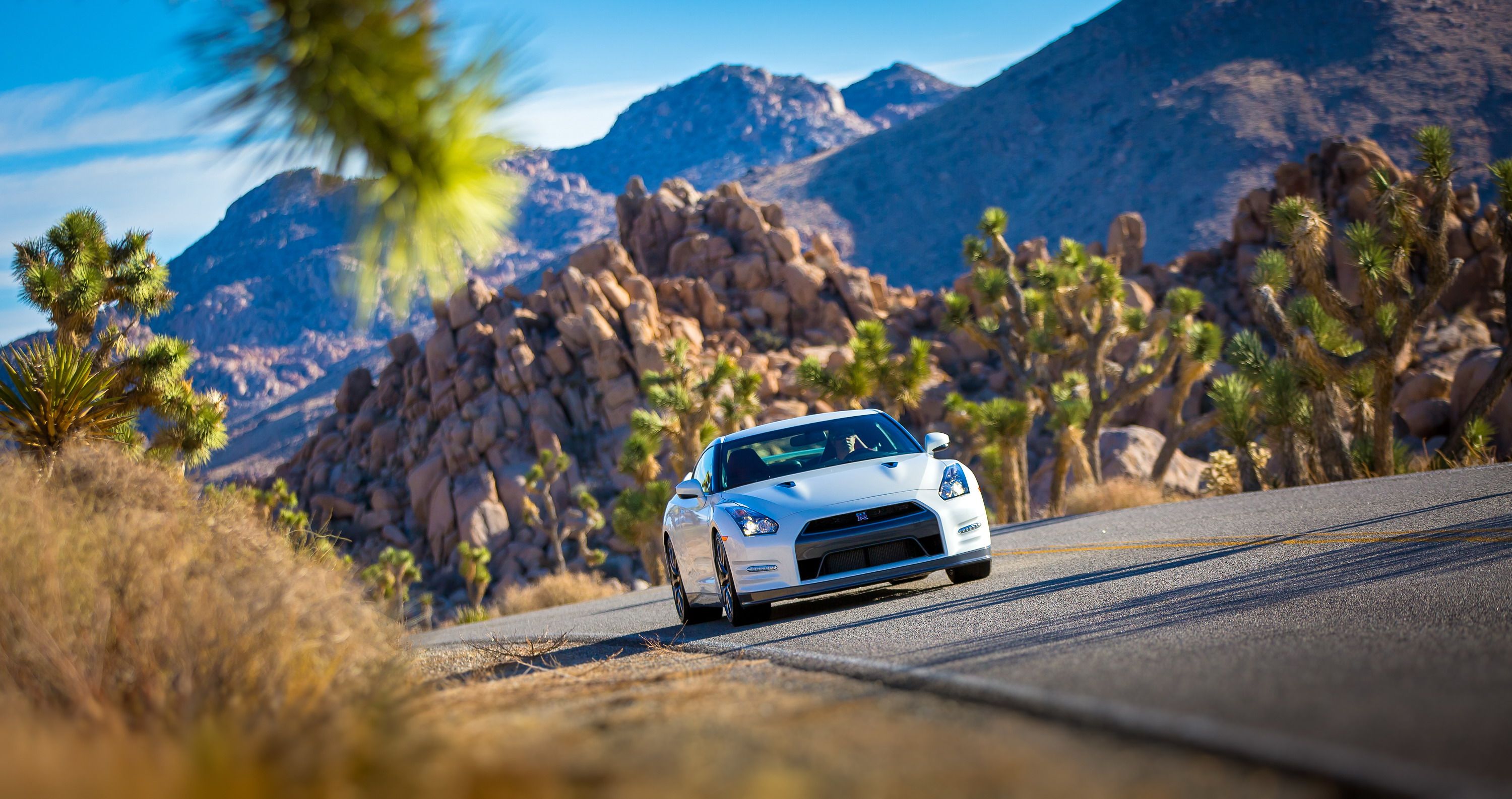 2014 Nissan GT-R