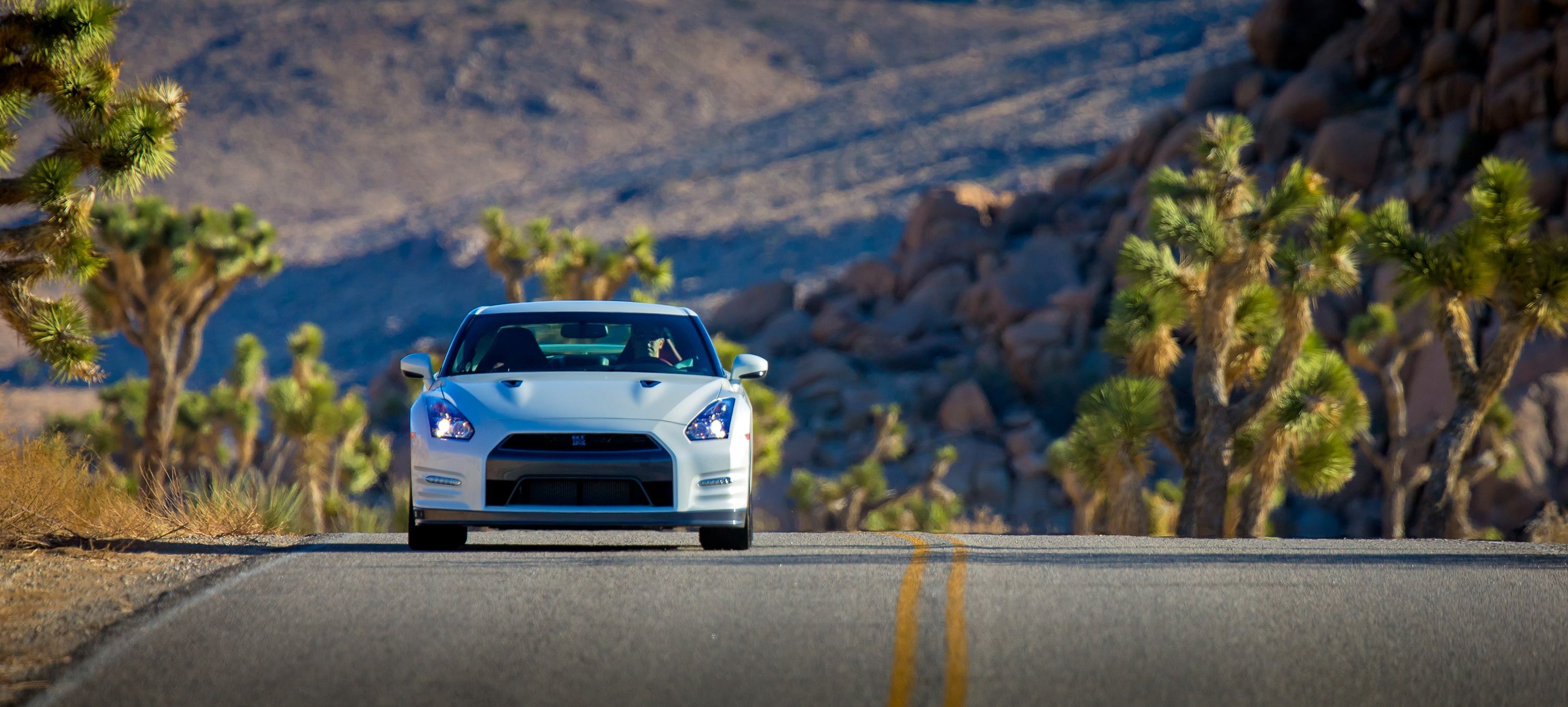 2014 Nissan GT-R