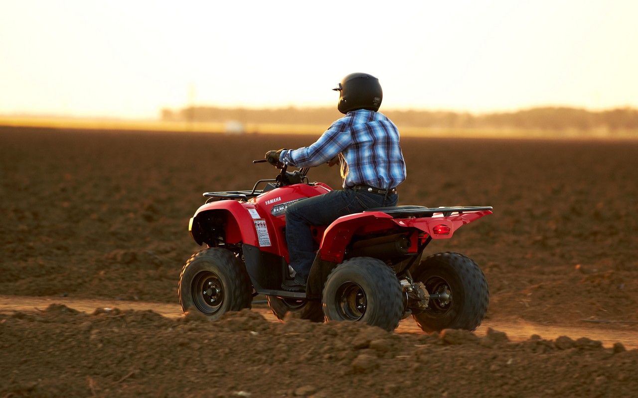 2013 Yamaha Grizzly 300 Automatic