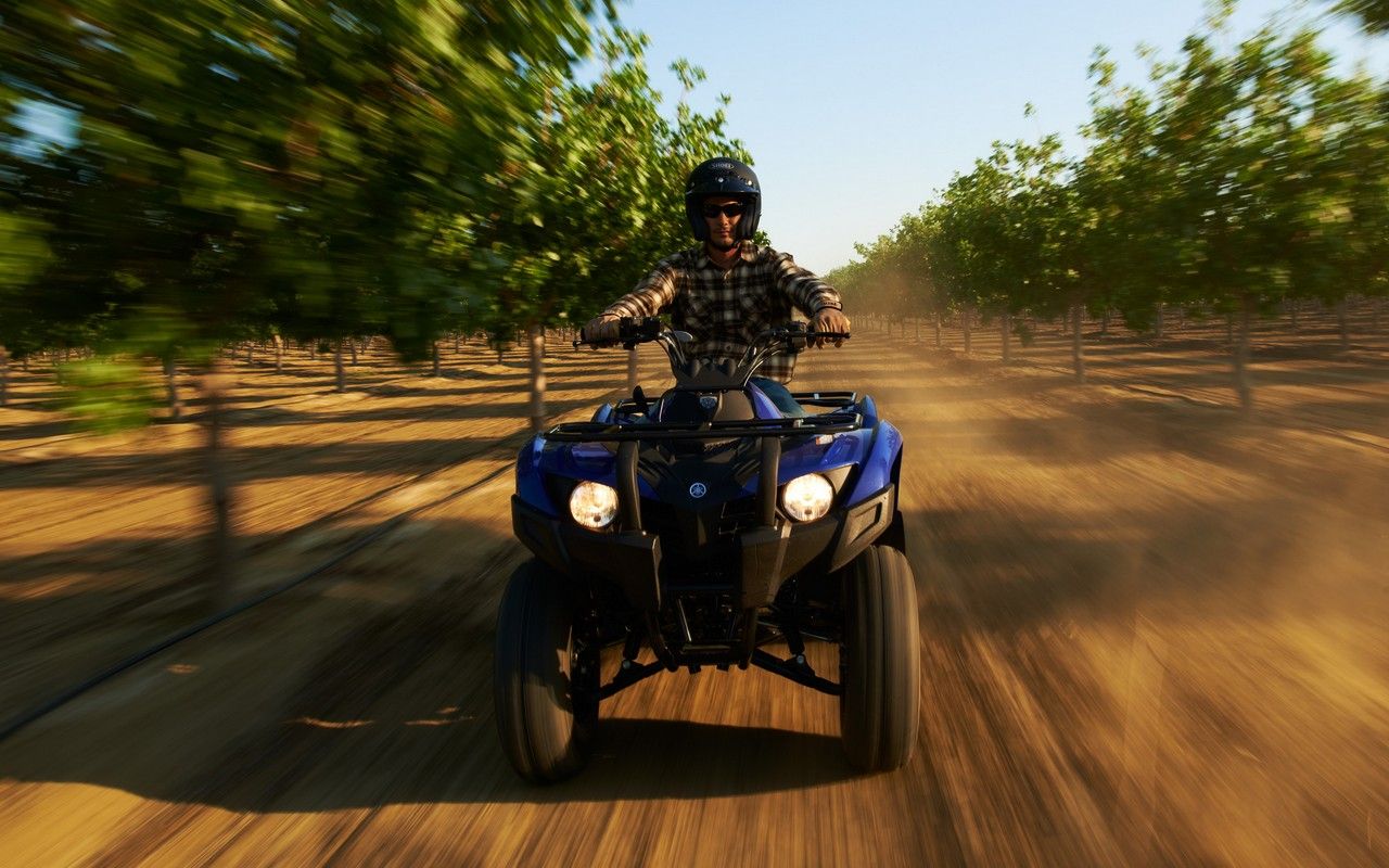 2013 Yamaha Grizzly 300 Automatic