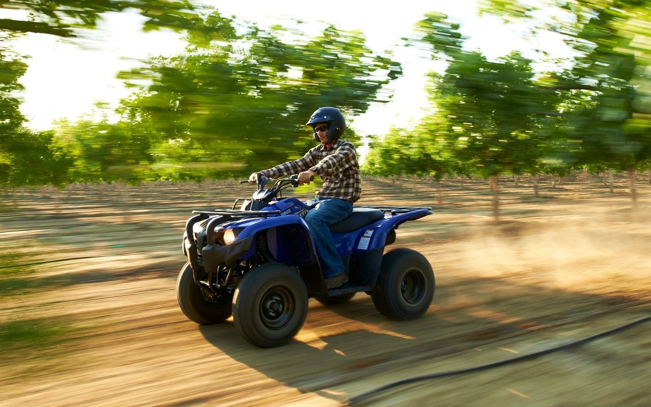 2013 Yamaha Grizzly 300 Automatic