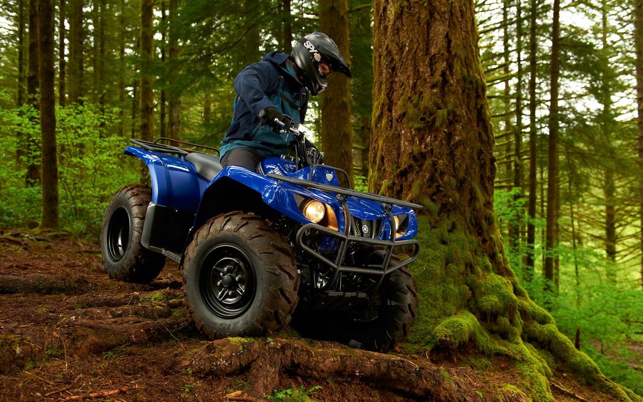 2013 Yamaha Grizzly 350 Auto 4x4