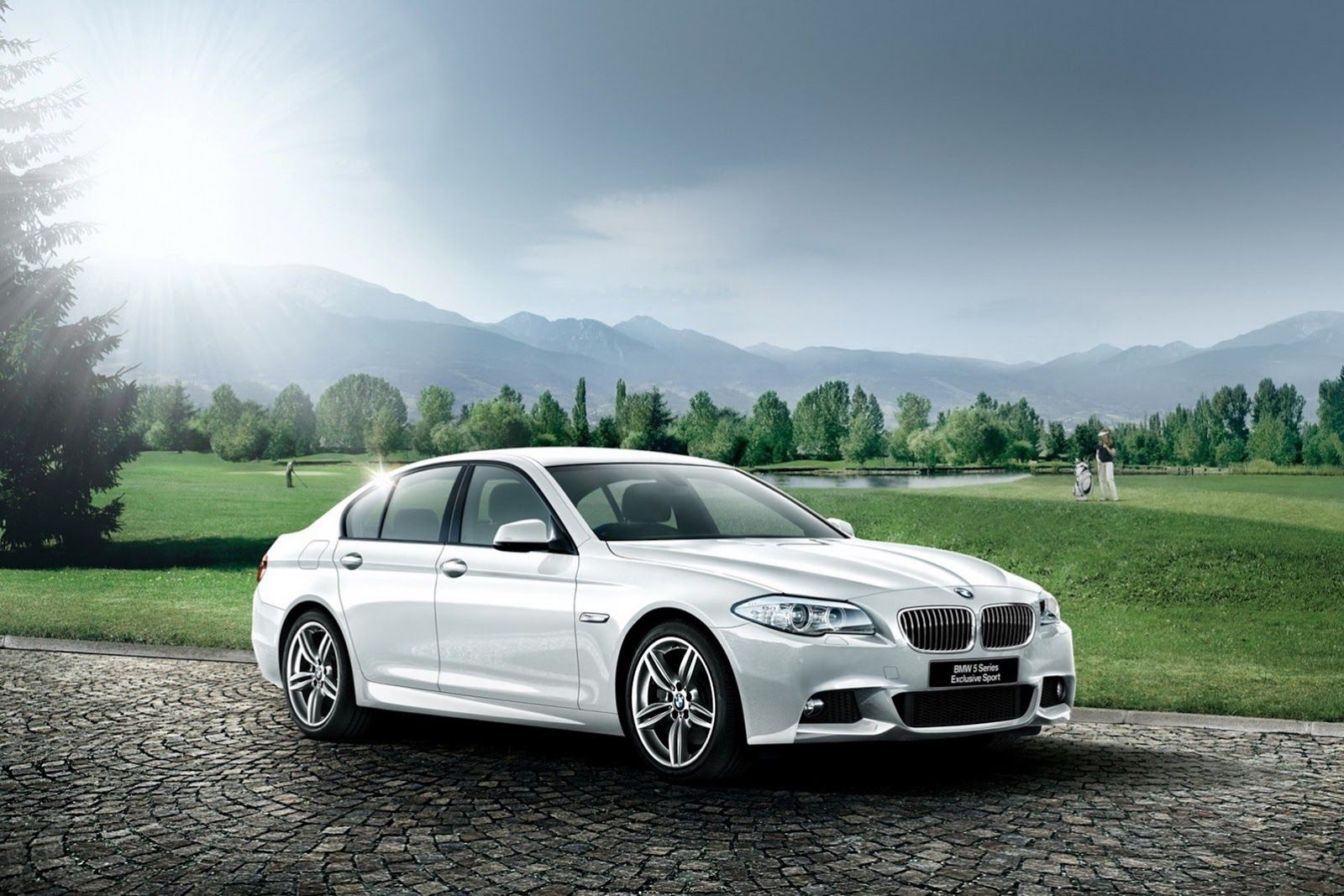 2013 BMW 5-Series Exclusive Sport Edition