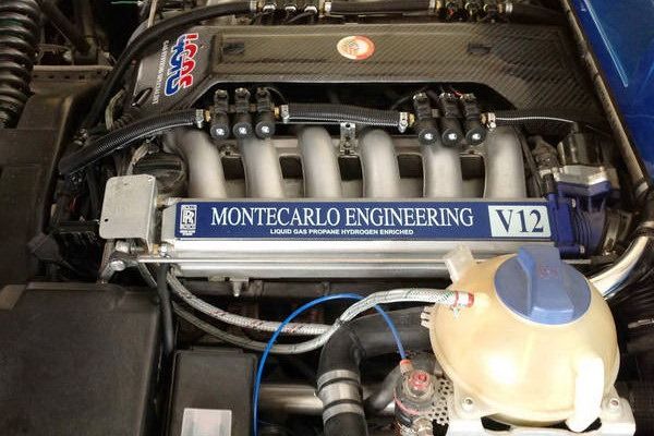 2014 Montecarlo Automobile Rascasse