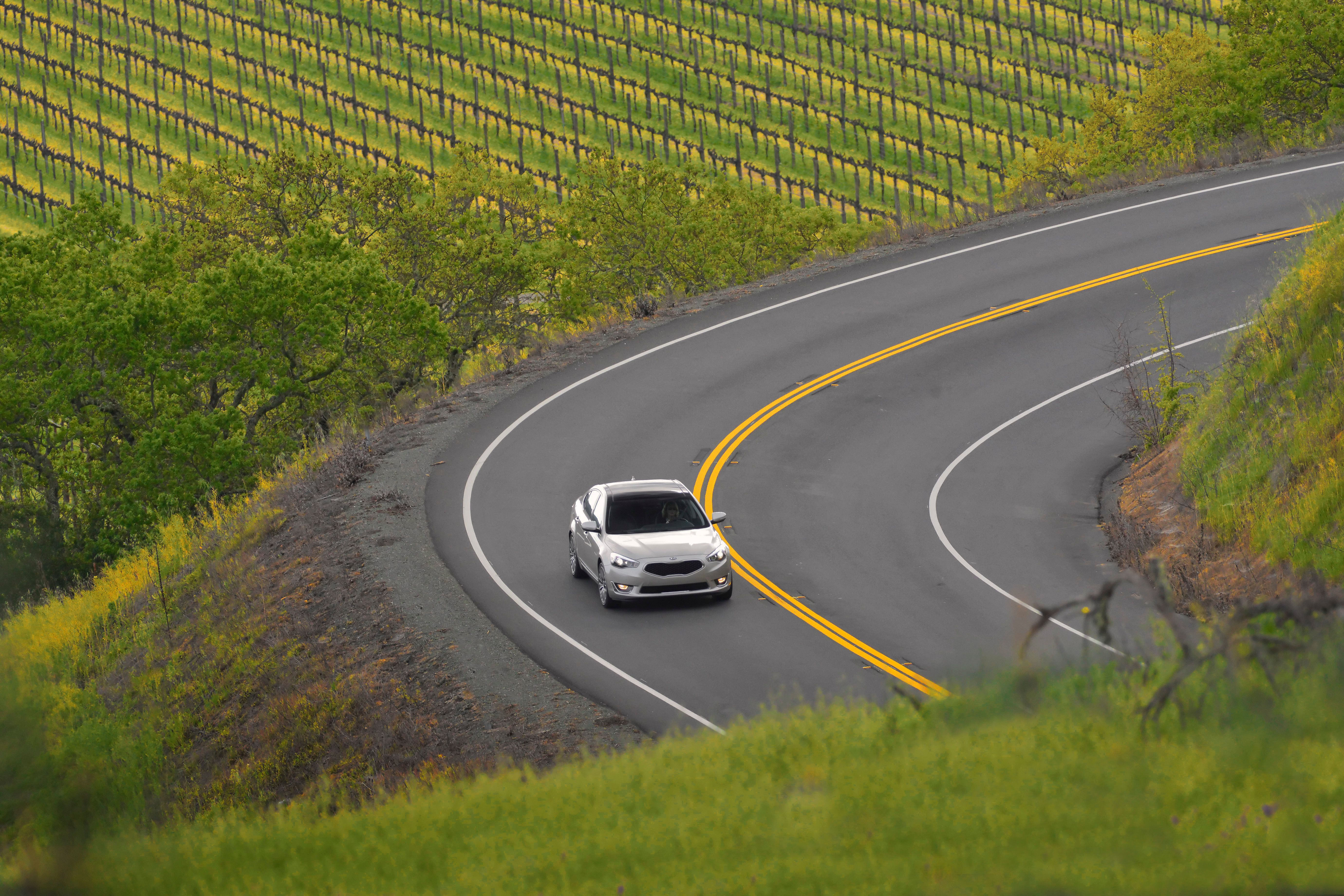 2014 - 2015 Kia Cadenza