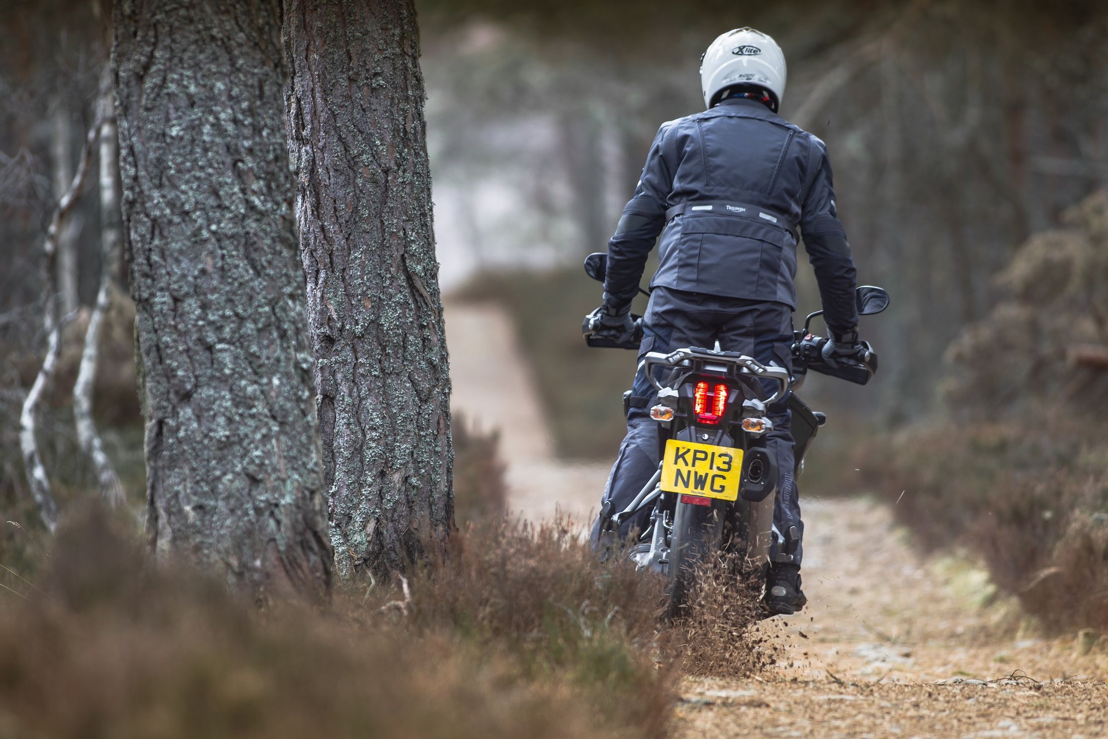 2014 Triumph Tiger Explorer XC