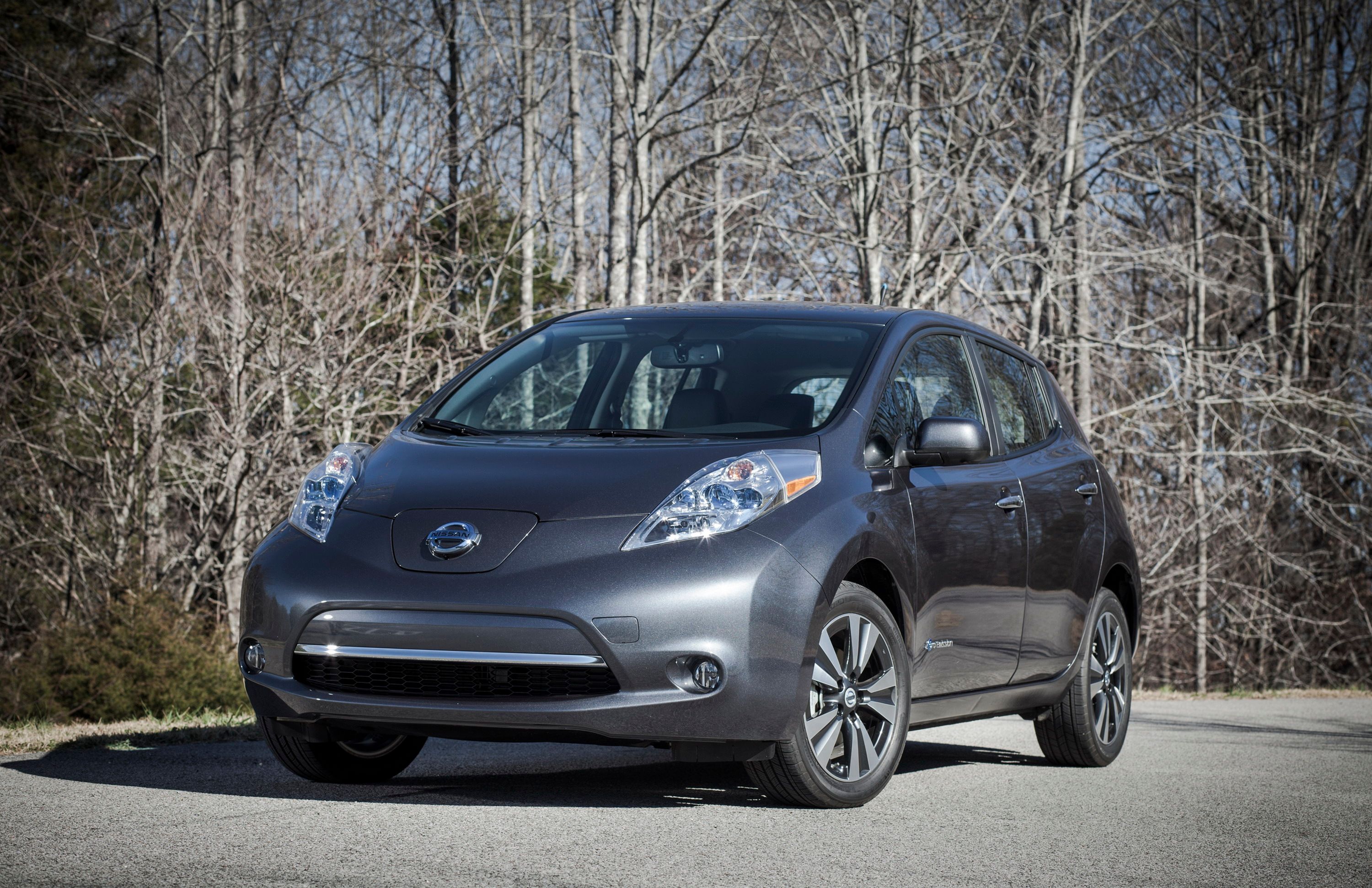 2014 Nissan Leaf