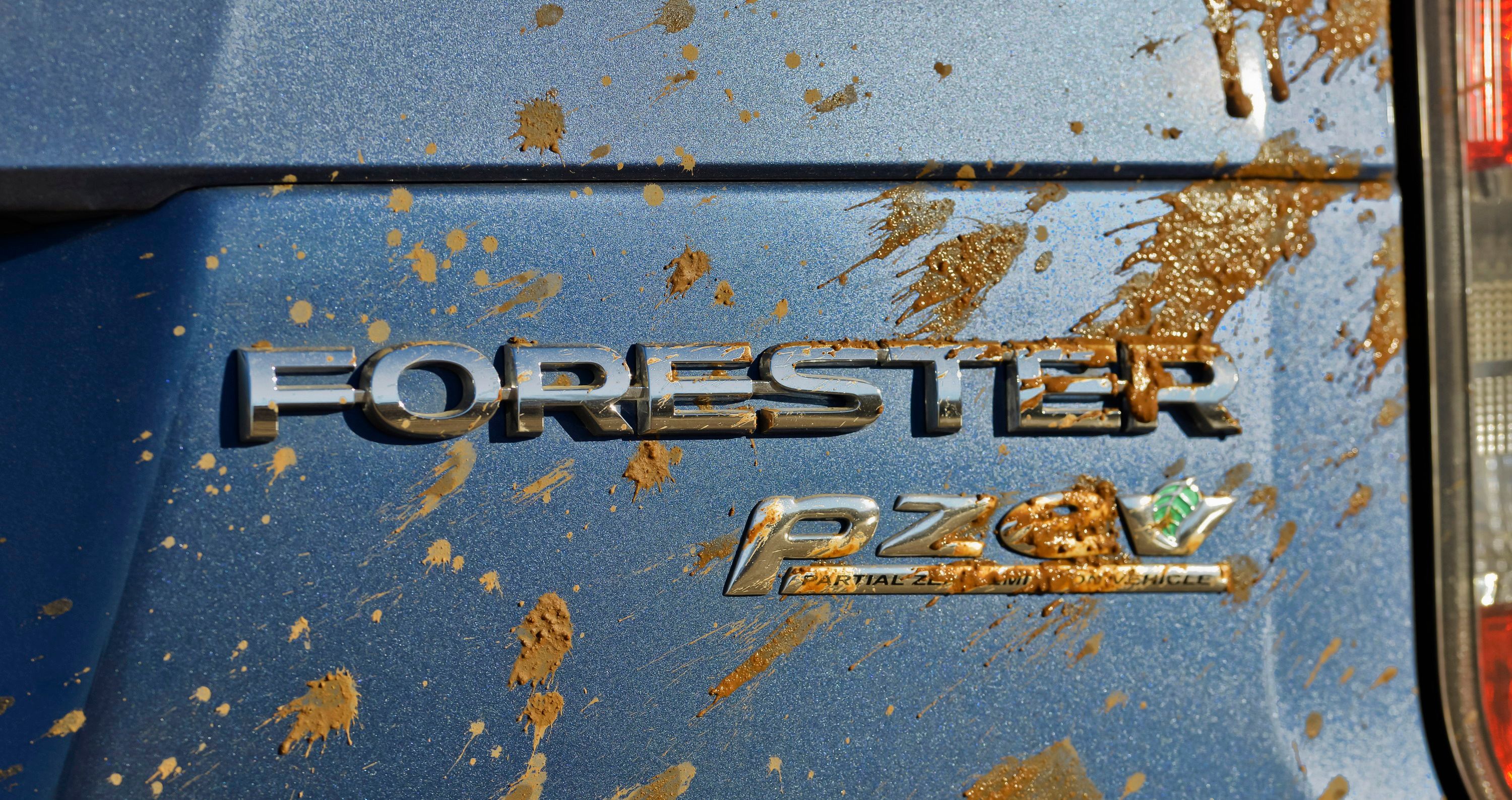 2015 - 2017 Subaru Forester