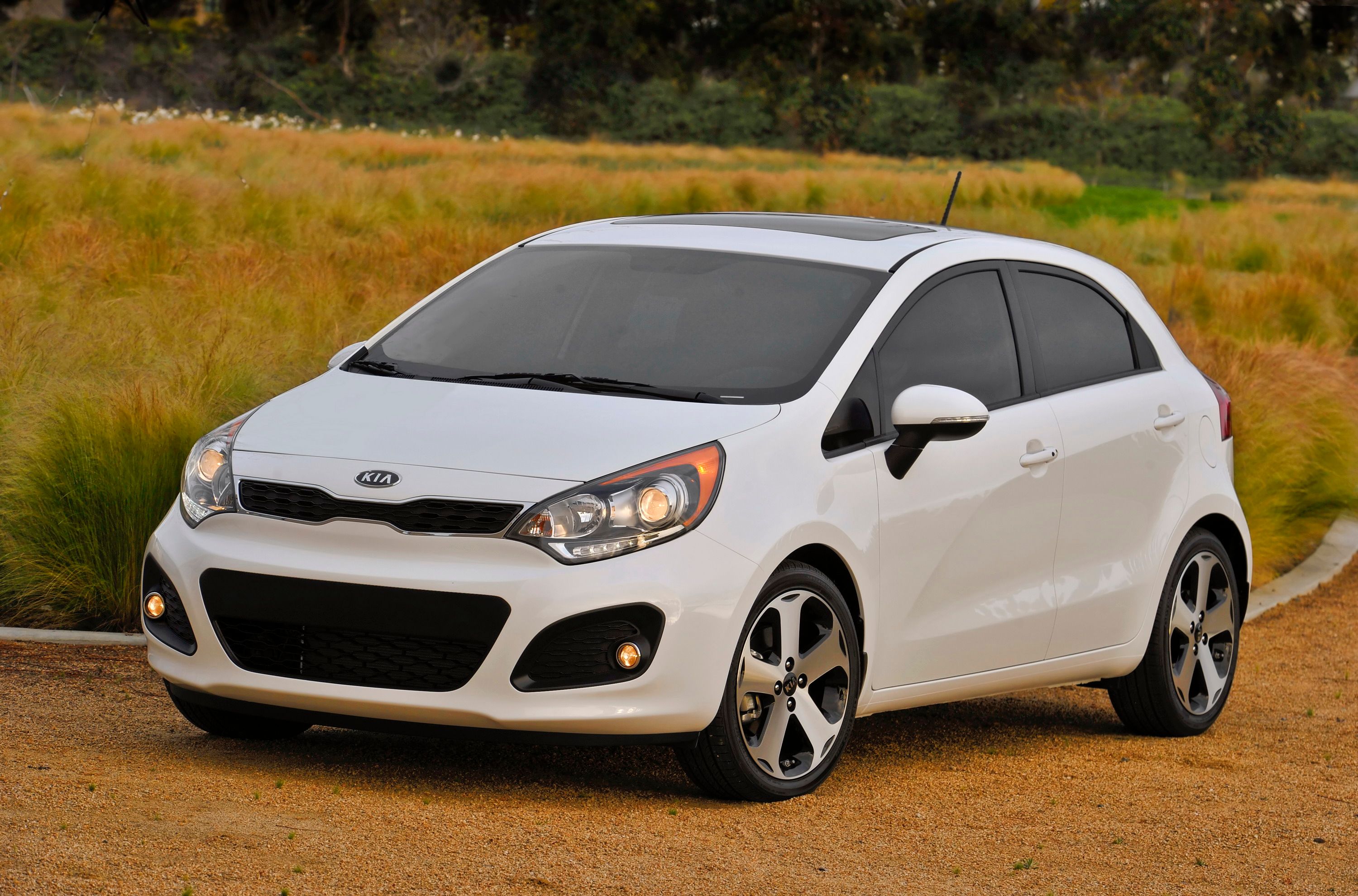 2014 Kia Rio 5-Door