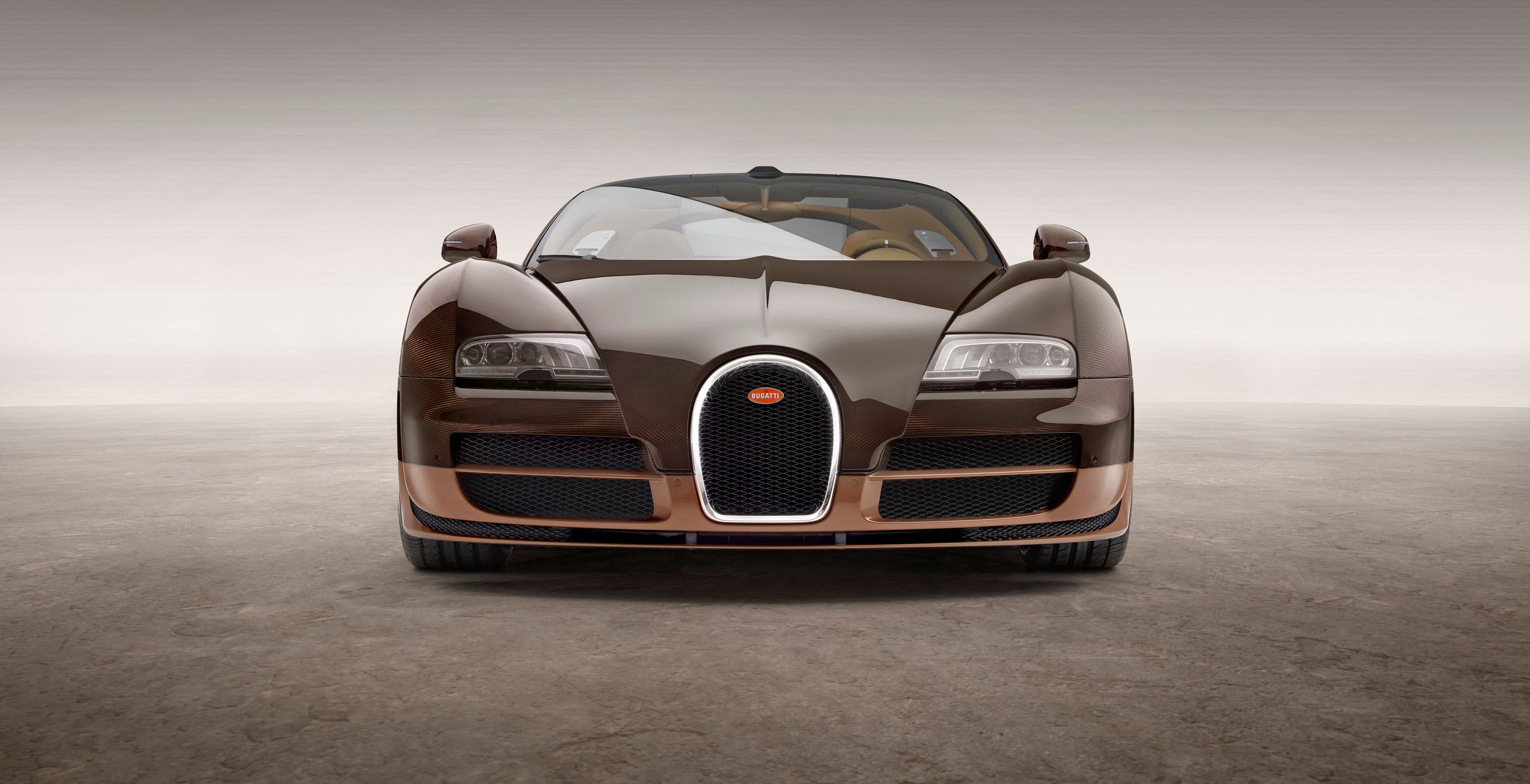 2014 Bugatti Veyron 16.4 Grand Sport Vitesse Rembrandt Bugatti