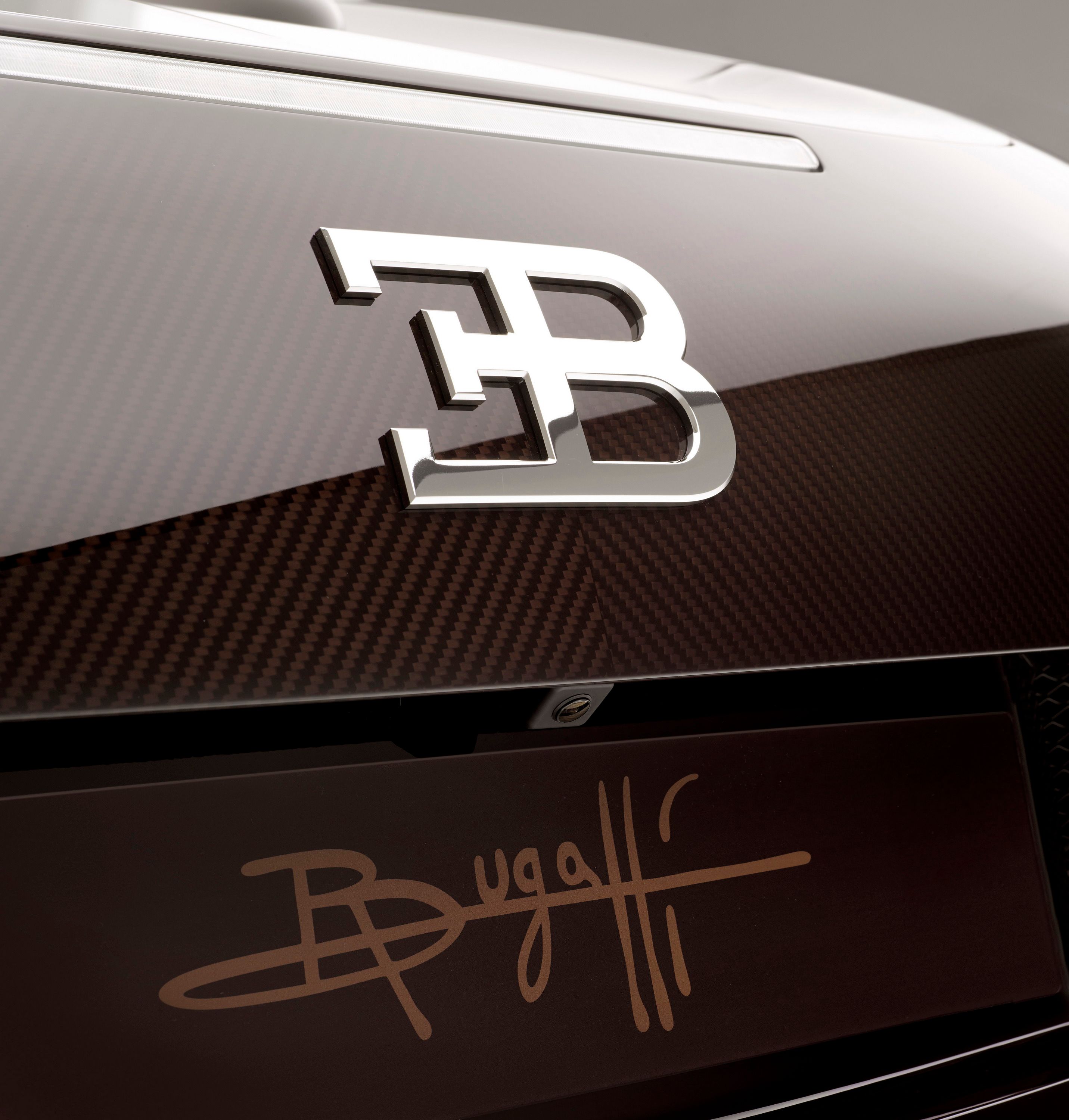 2014 Bugatti Veyron 16.4 Grand Sport Vitesse Rembrandt Bugatti