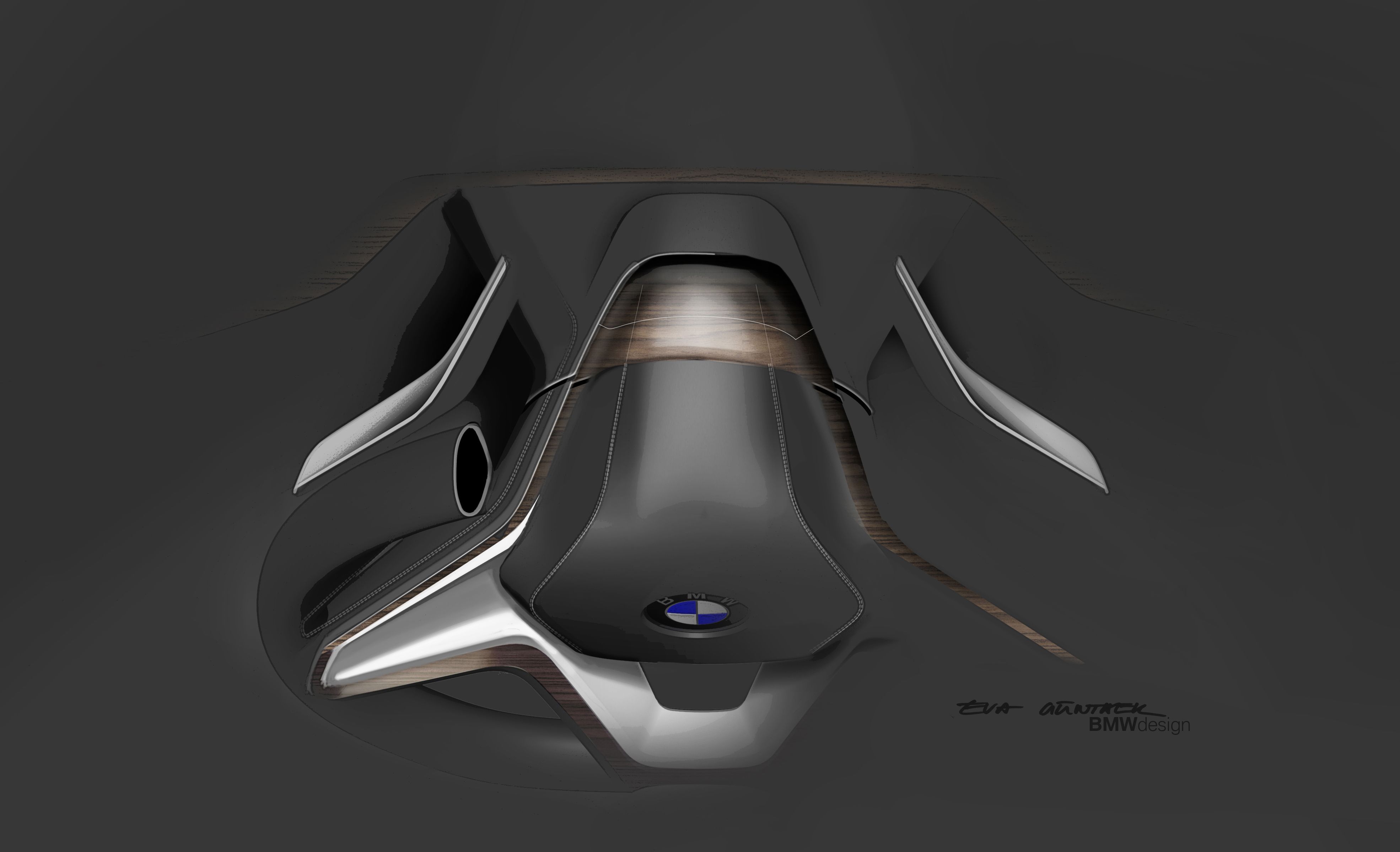 2014 BMW Vision Future Luxury