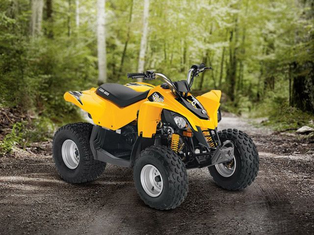 2014 Can-Am DS