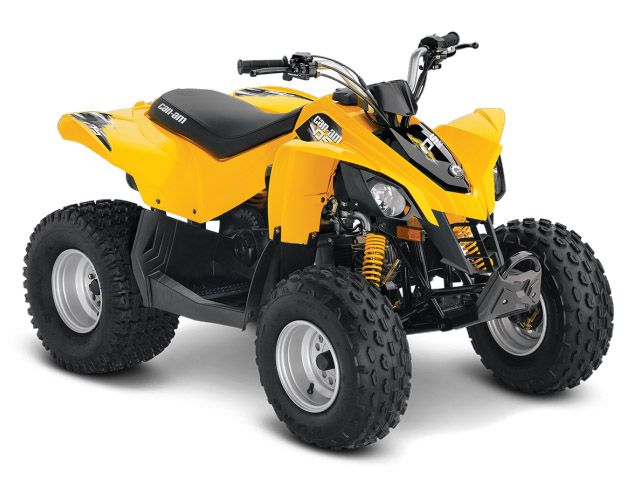 2014 Can-Am DS