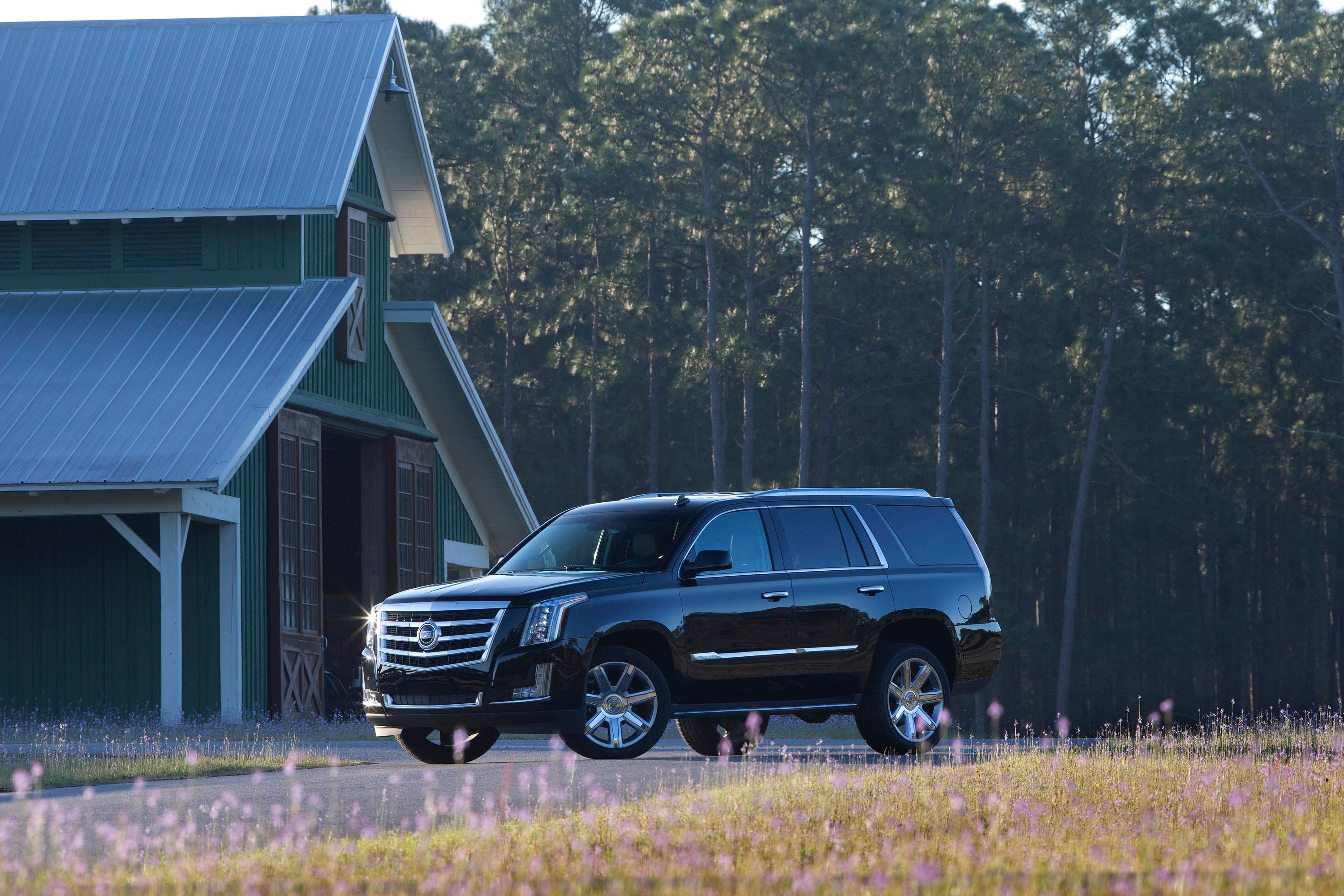 2015 Cadillac Escalade