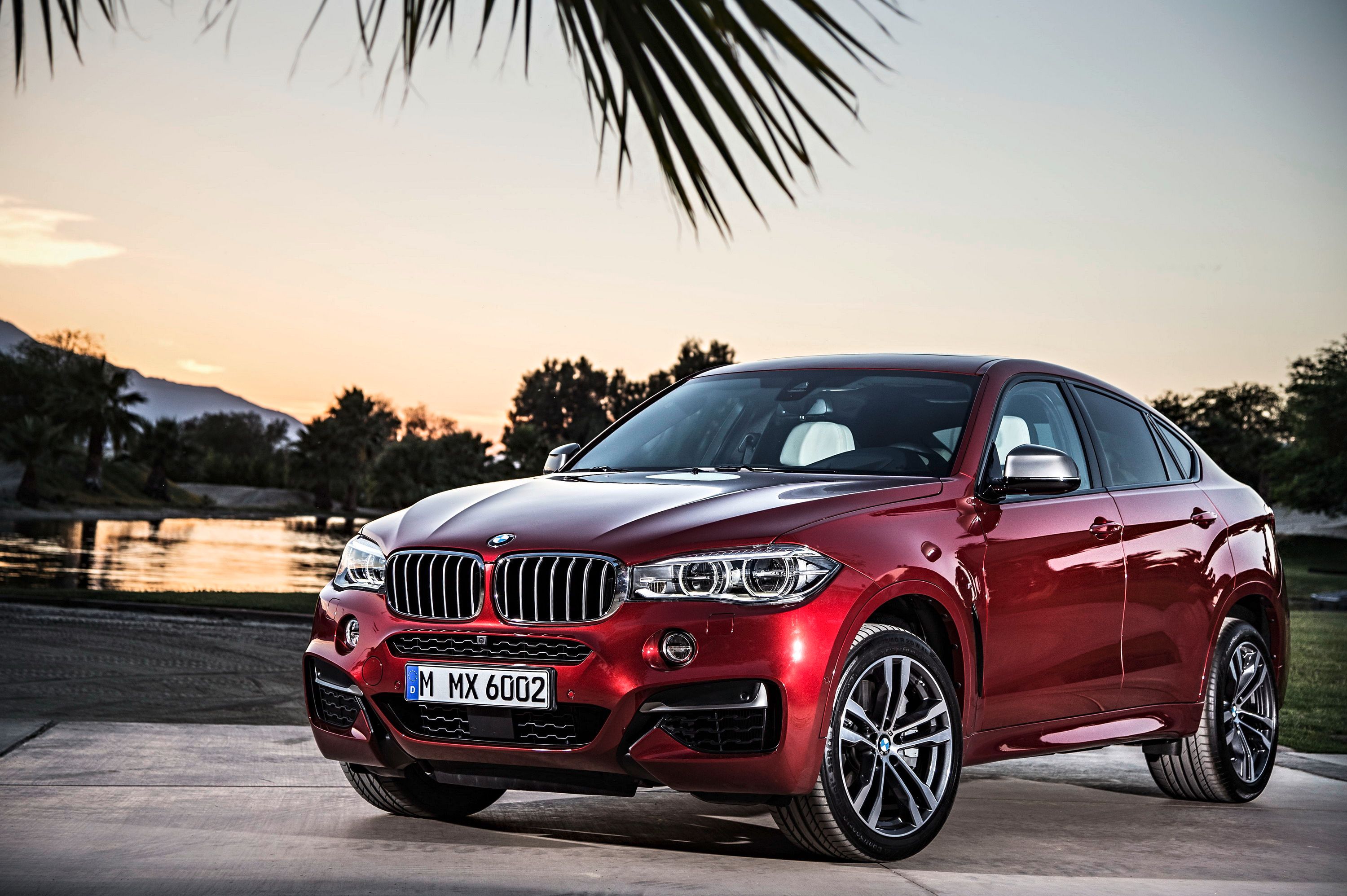 2015 BMW X6 M50d