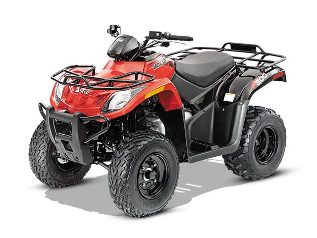 2014 Arctic Cat 300