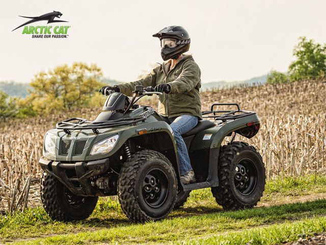 2014 Arctic Cat 450