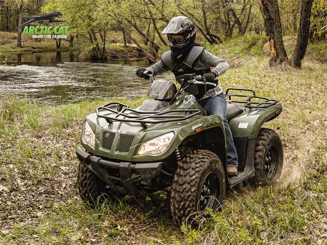 2014 Arctic Cat 450