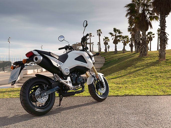 2014 Honda MSX125