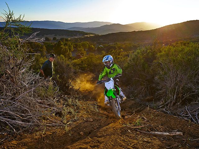 2015 Kawasaki KLX 110L