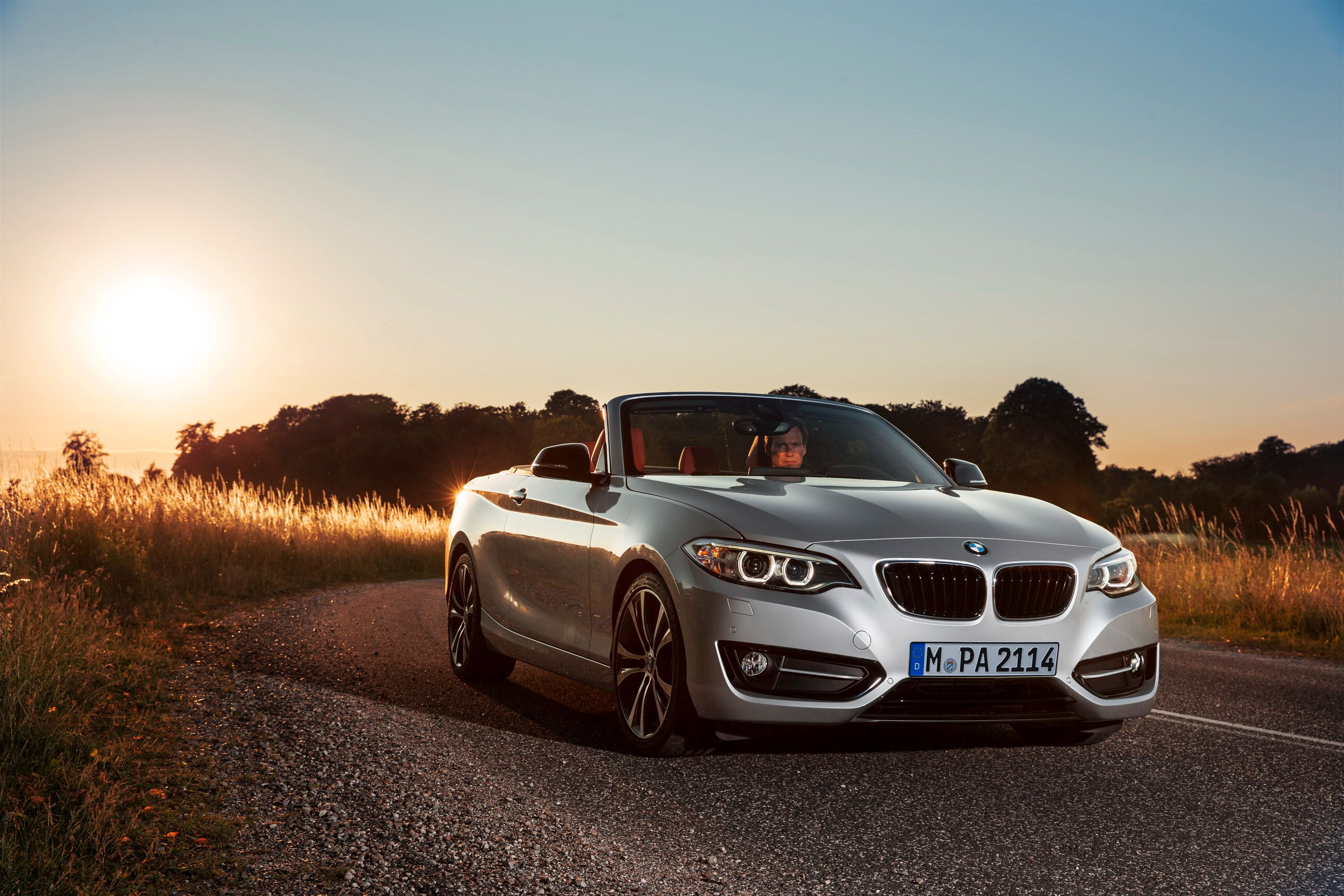 2015 BMW 2 Series Convertible