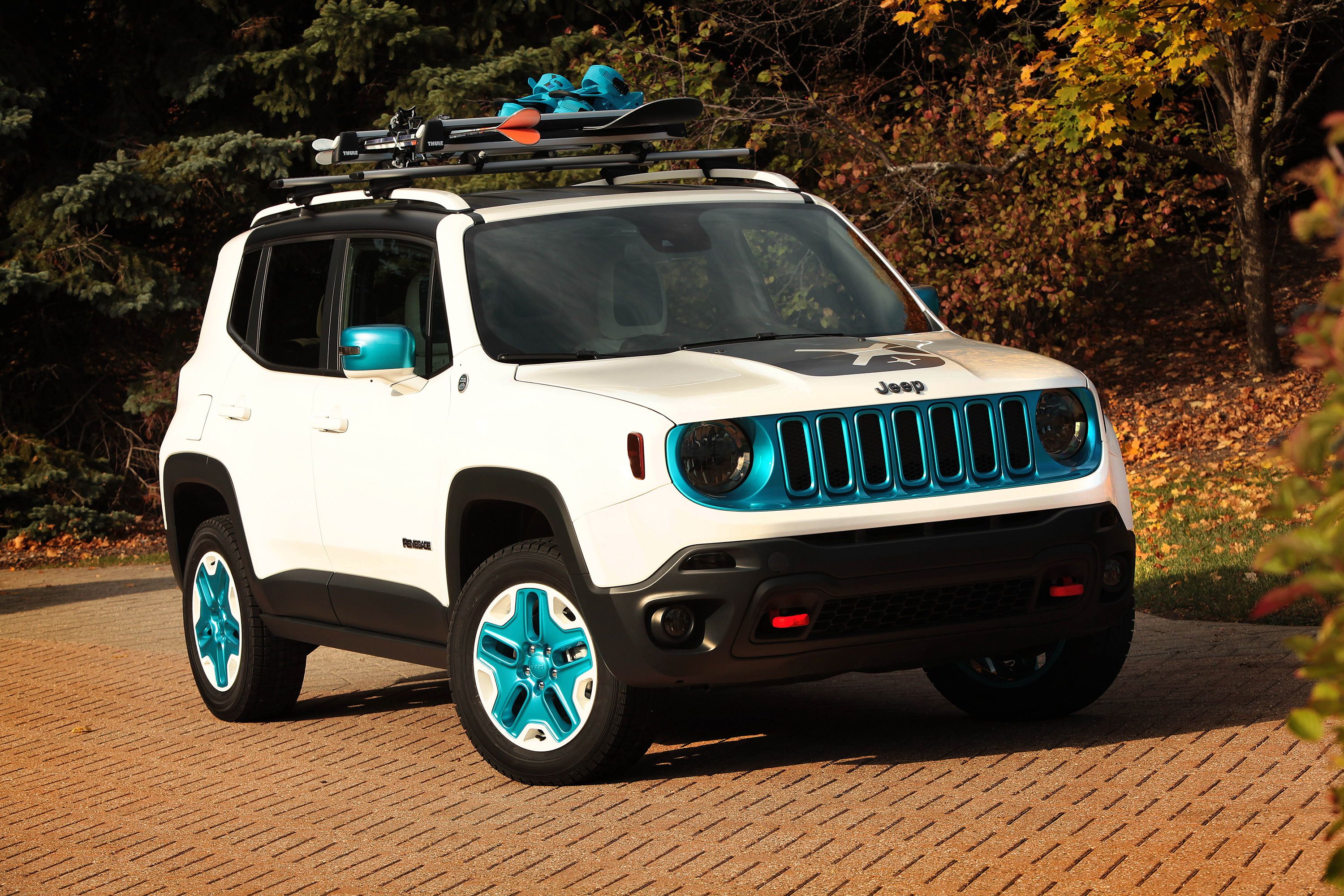 2015 Jeep Renegade Frostbite