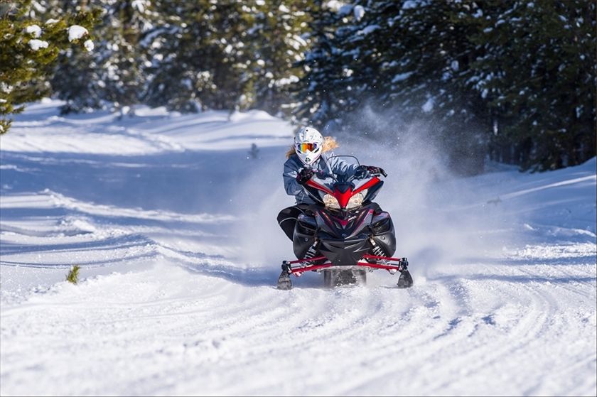 2015 Yamaha Apex