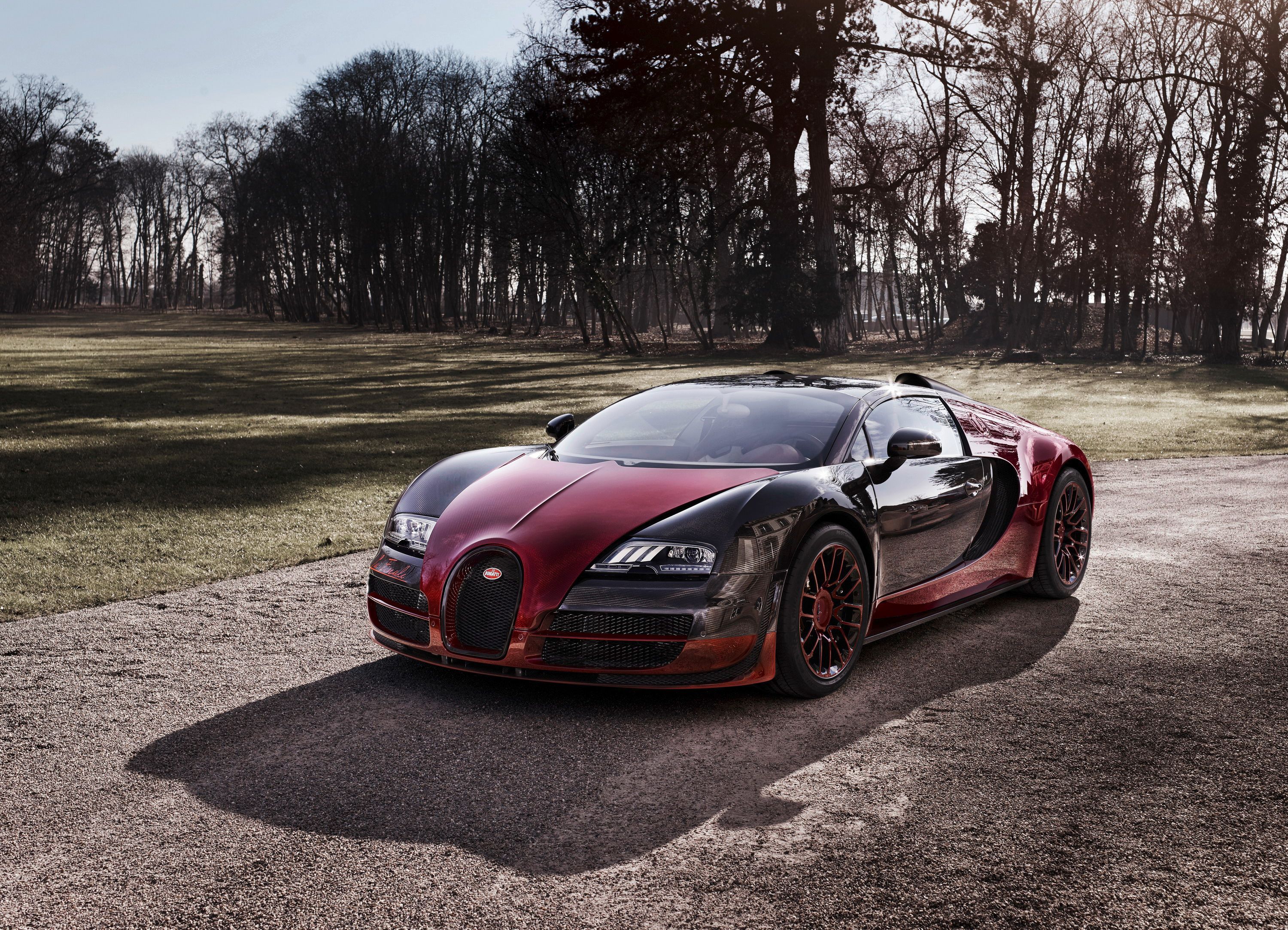 2015 Bugatti Veyron Grand Sport Vitesse 