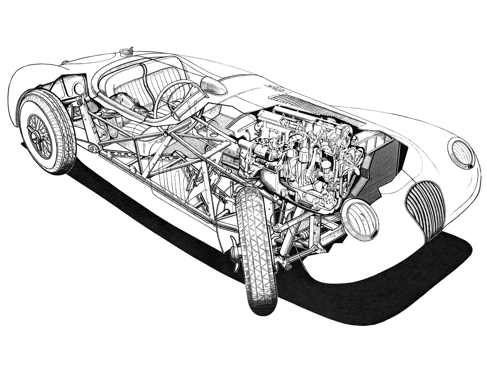 1951 - 1953 Jaguar C-Type