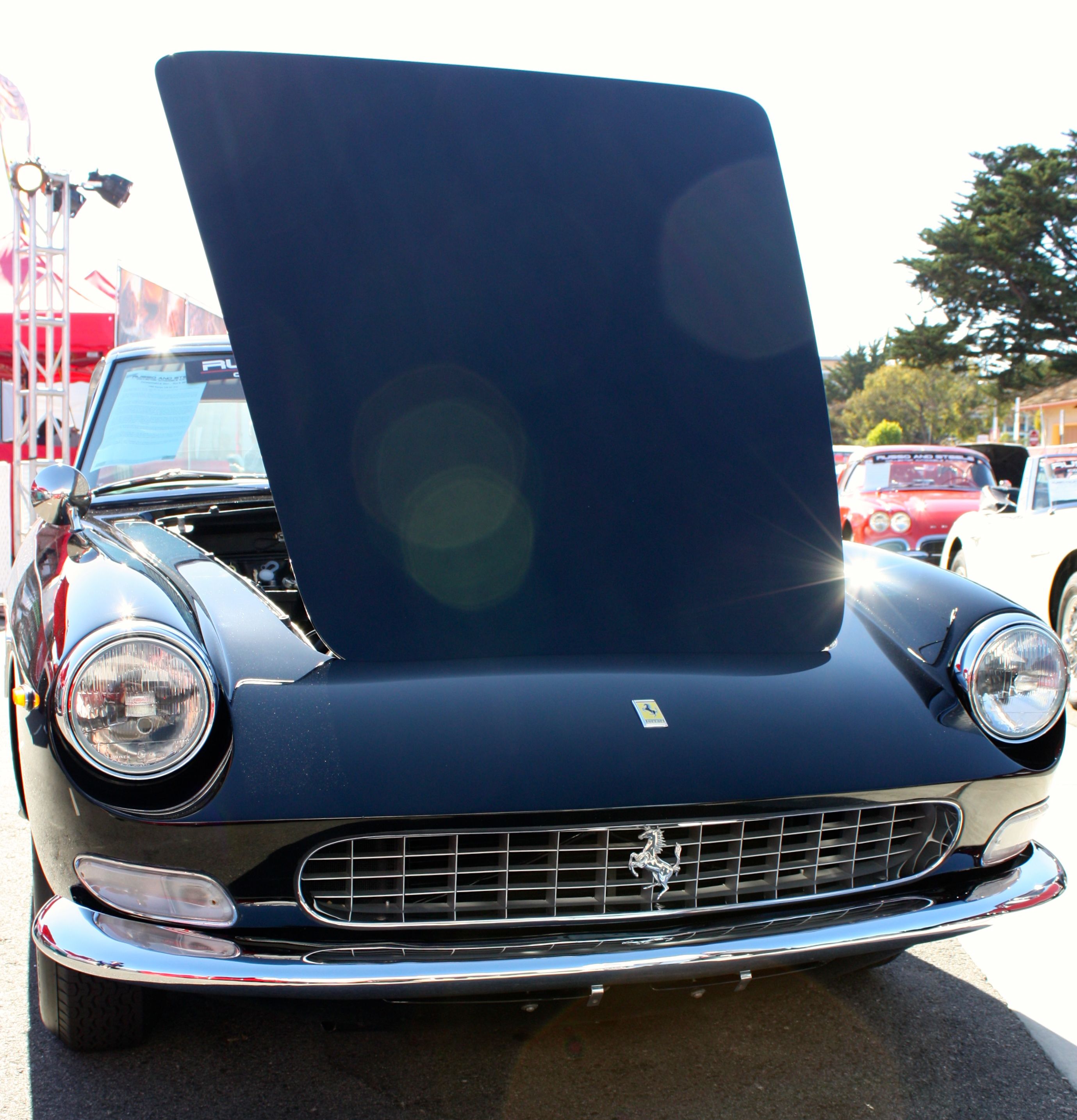 1964 - 1967 Ferrari 330 GT 2+2