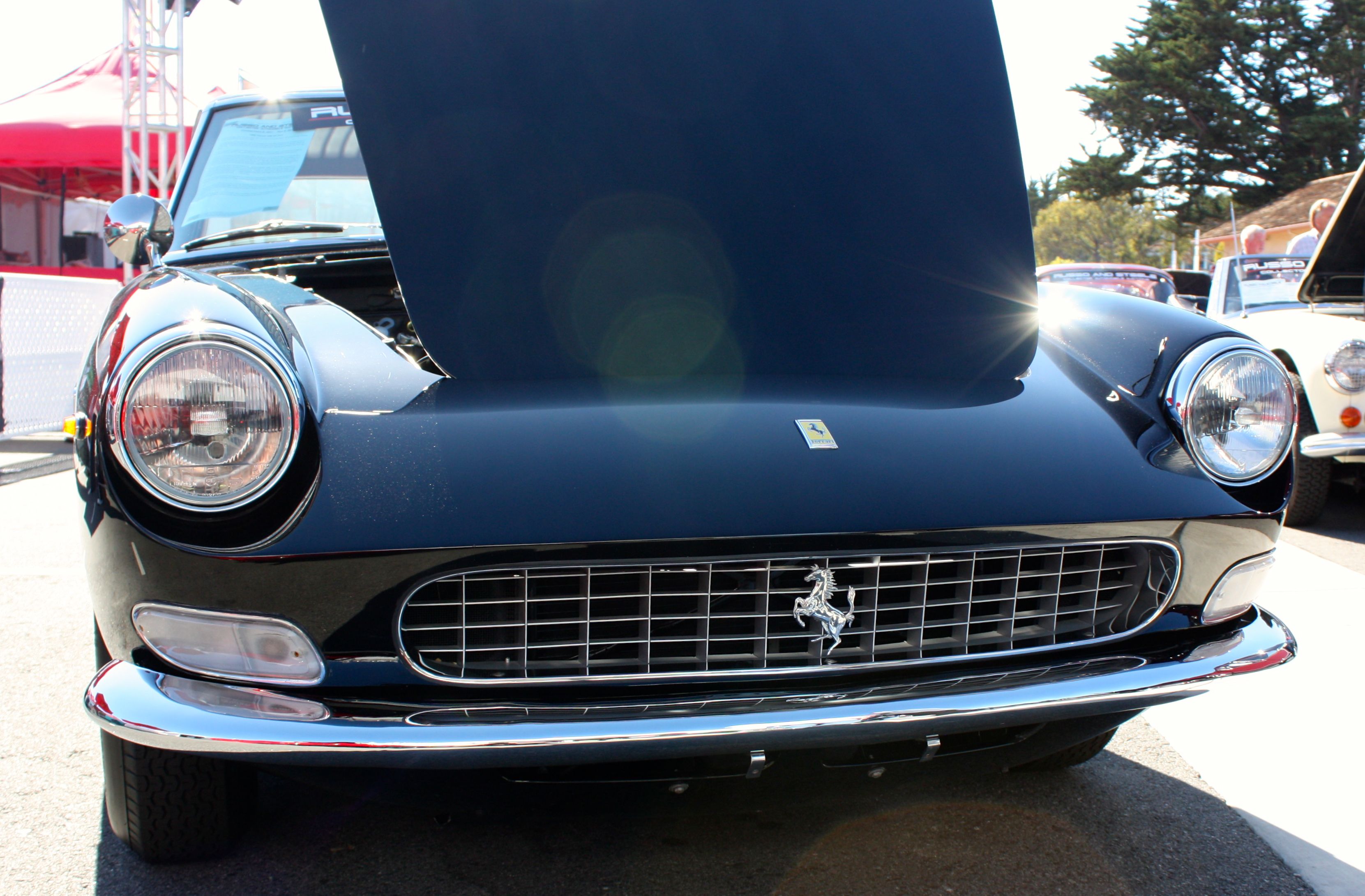 1964 - 1967 Ferrari 330 GT 2+2