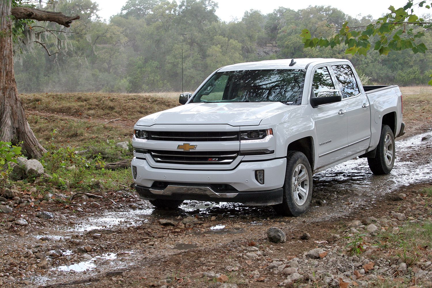 2016 The 2015 Truck of Texas: Crowing the Winners