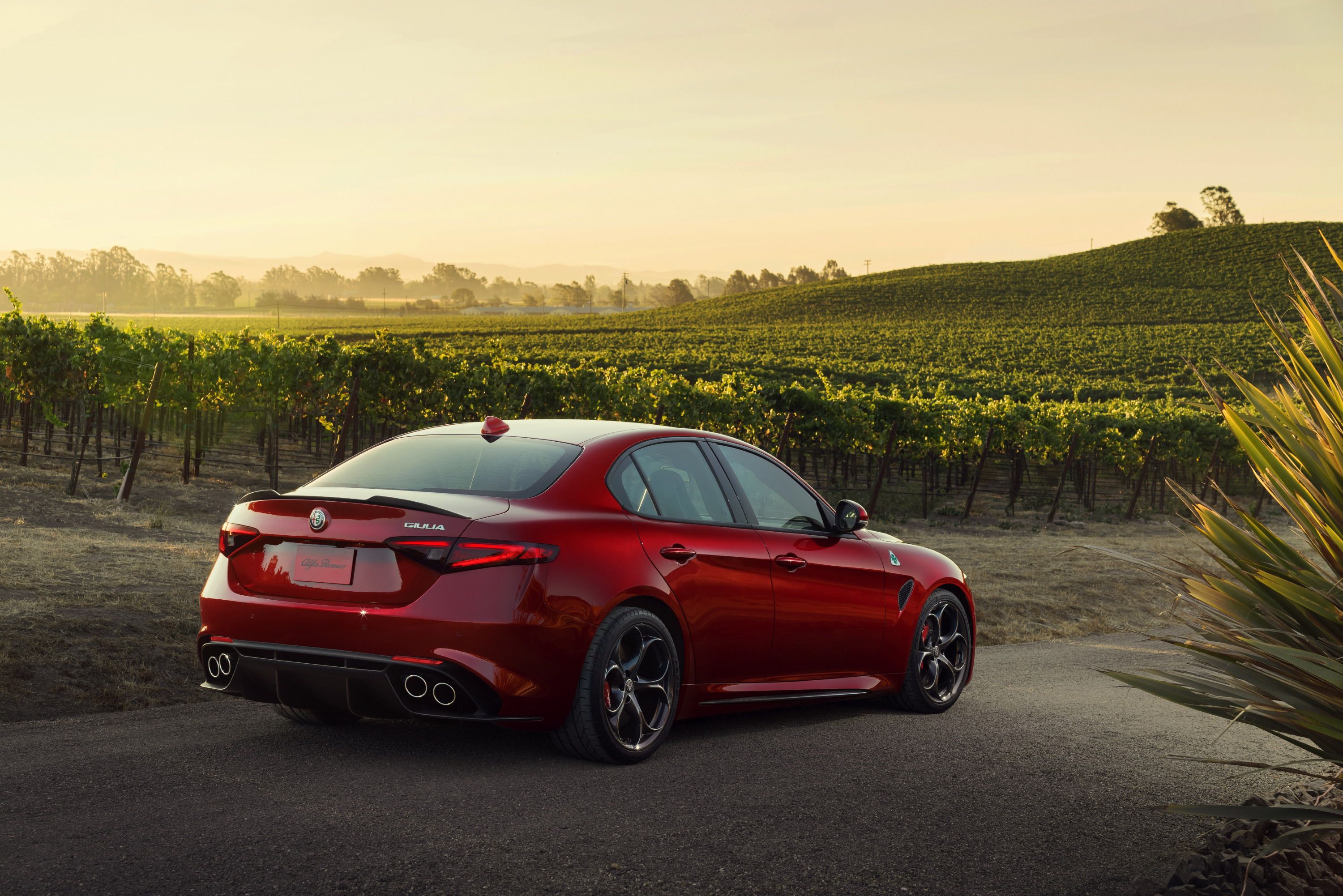 2017 Alfa Romeo Giulia Quadrifoglio