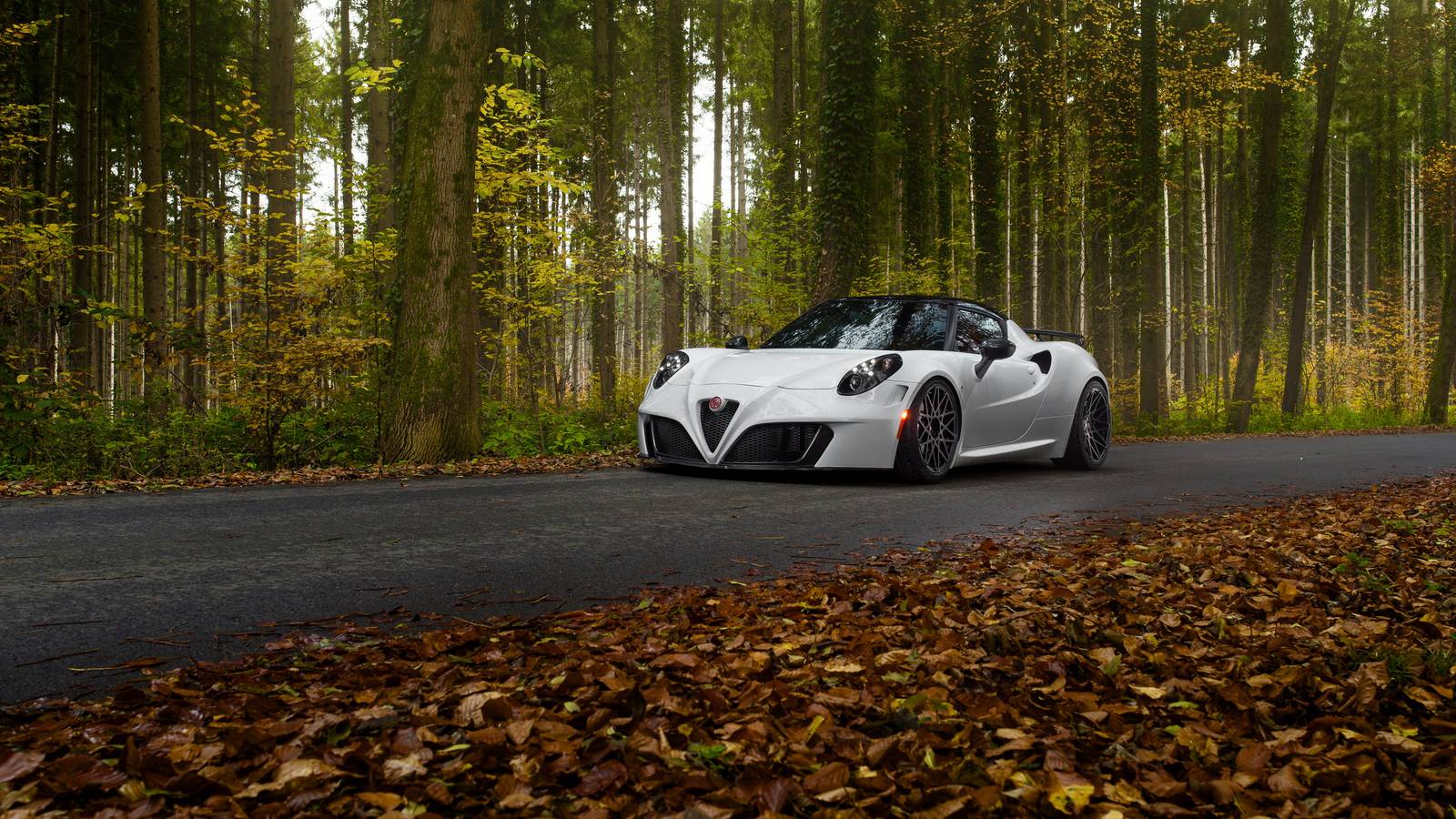 Word Has it That there's a V6-Powered, Alfa Romeo 6C in the Works!