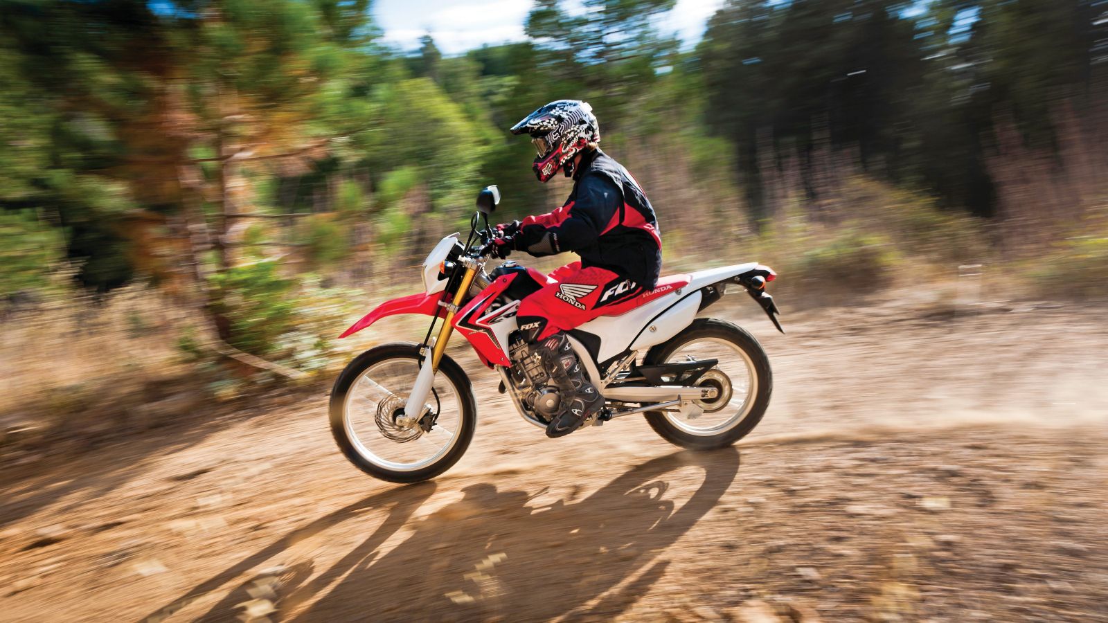 2015 - 2016 Honda CRF250L