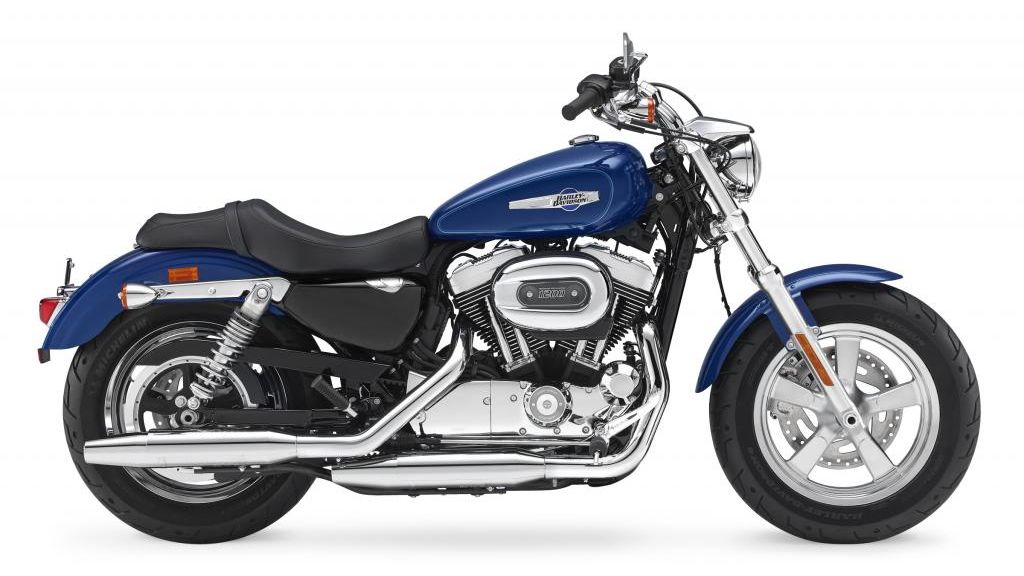 2015 - 2019 Harley-Davidson Sportster 1200 Custom