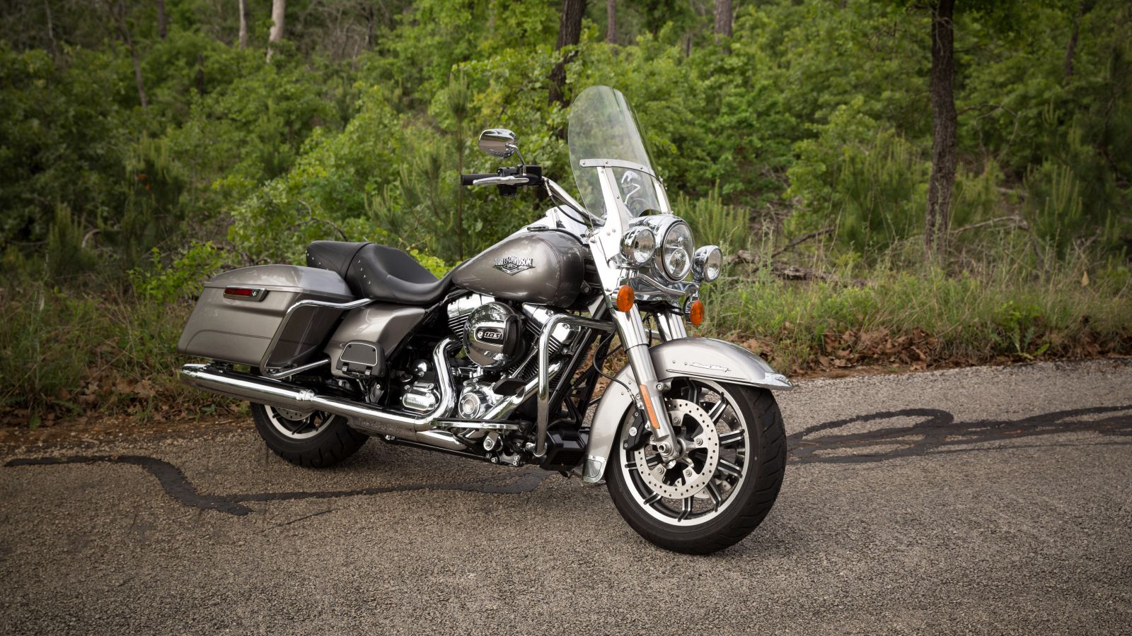 2015 - 2016 Harley-Davidson Road King