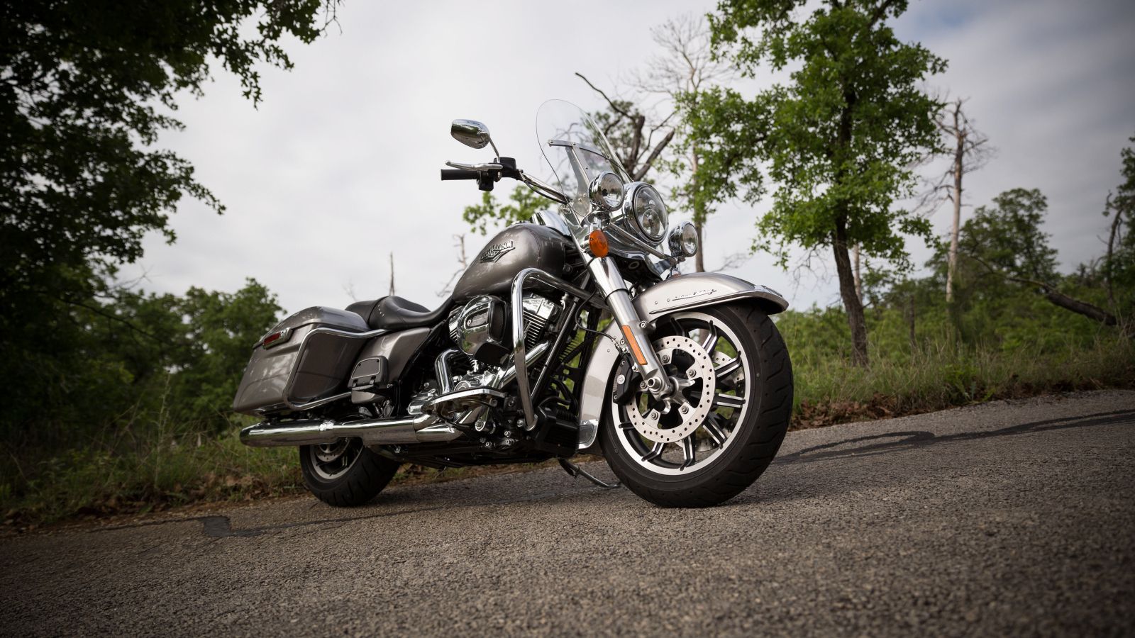 2015 - 2016 Harley-Davidson Road King