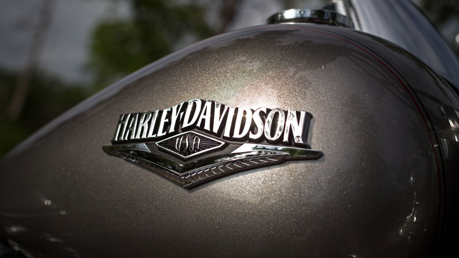 2015 - 2016 Harley-Davidson Road King